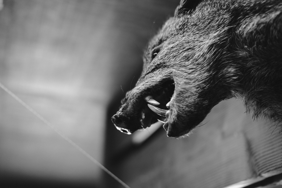 Phoenix Wedding Photographer; Phoenix Wedding; Aaron Hoskins Photography; The Hoskins Photo; The Hoskins; Arizona Wedding Photographers; Sedona Wedding Photographers; Flagstaff Wedding Photographers; Tucson Wedding Photographers; Outdoor Weddings