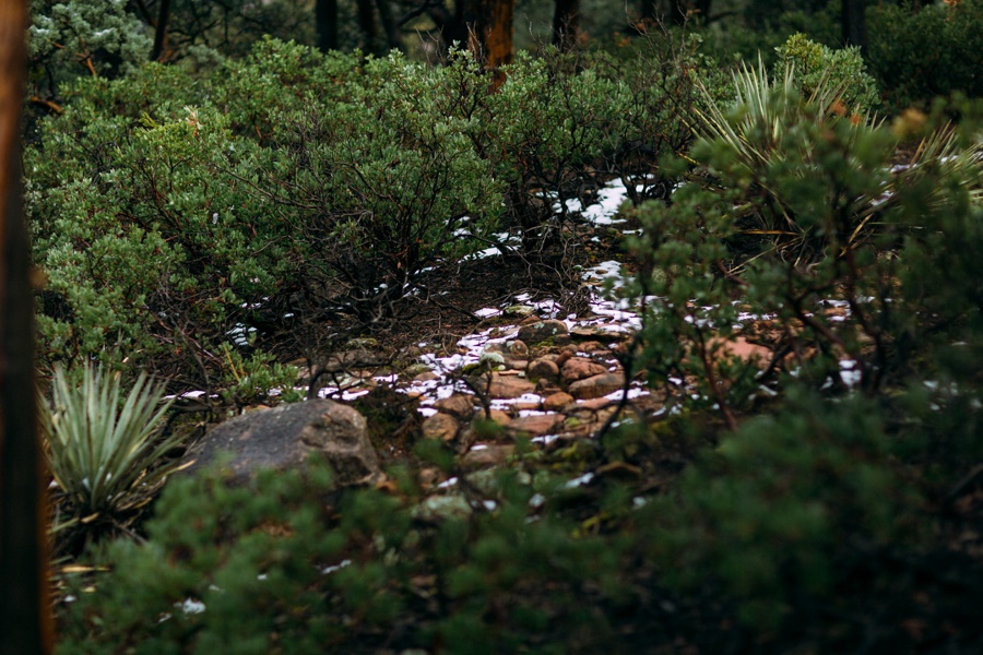 Phoenix Wedding Photographers; Phoenix Wedding; Aaron Hoskins Photography; The Hoskins Photography; The Hoskins; Arizona Wedding Photographers; Sedona Wedding Photographers; Flagstaff Wedding Photographers; Tucson Wedding Photographers; Outdoor Weddings; Sedona Engagement, Sedona Red Rocks