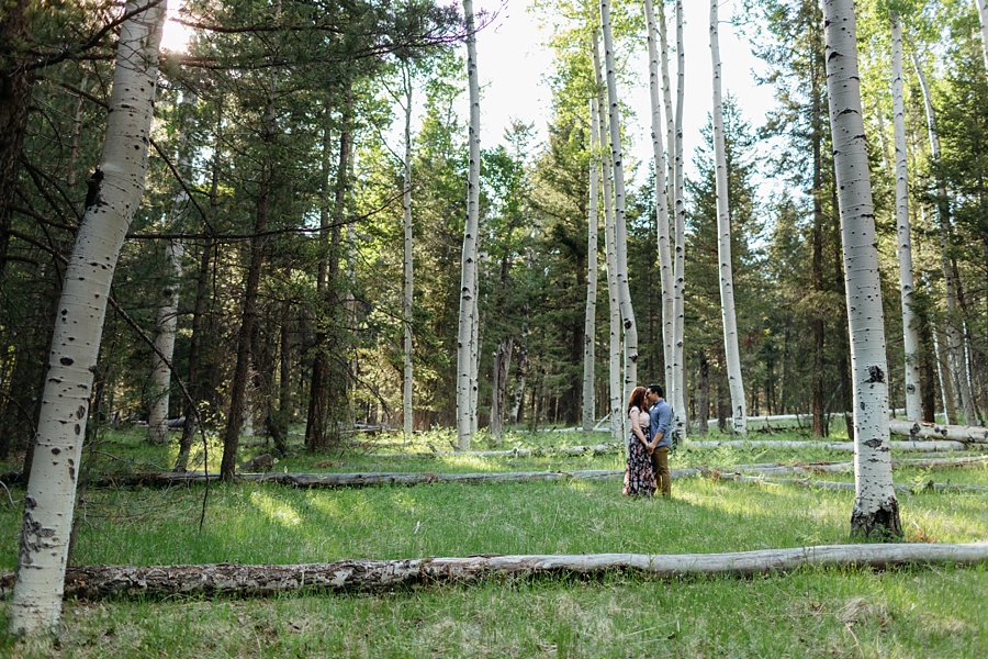 Phoenix Wedding Photographers; Phoenix Wedding; Aaron Hoskins Photography; The Hoskins Photography; The Hoskins; Arizona Wedding Photographers; Sedona Wedding Photographers; Flagstaff Wedding Photographers; Tucson Wedding Photographers; Outdoor Weddings; Phoenix Wedding Photography; Phoenix Wedding Photographer; Flagstaff Engagement; Flagstaff Engagement Photos