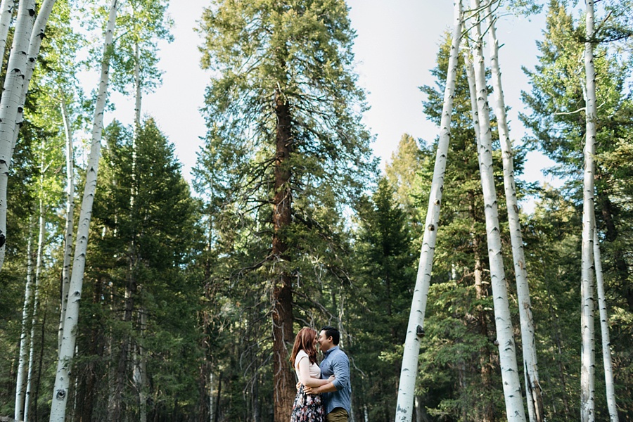 Phoenix Wedding Photographers; Phoenix Wedding; Aaron Hoskins Photography; The Hoskins Photography; The Hoskins; Arizona Wedding Photographers; Sedona Wedding Photographers; Flagstaff Wedding Photographers; Tucson Wedding Photographers; Outdoor Weddings; Phoenix Wedding Photography; Phoenix Wedding Photographer; Flagstaff Engagement; Flagstaff Engagement Photos