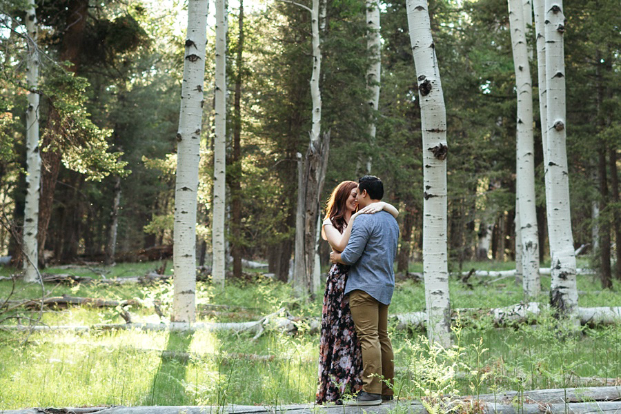 Phoenix Wedding Photographers; Phoenix Wedding; Aaron Hoskins Photography; The Hoskins Photography; The Hoskins; Arizona Wedding Photographers; Sedona Wedding Photographers; Flagstaff Wedding Photographers; Tucson Wedding Photographers; Outdoor Weddings; Phoenix Wedding Photography; Phoenix Wedding Photographer; Flagstaff Engagement; Flagstaff Engagement Photos