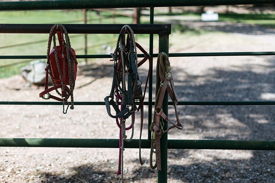 Phoenix Wedding Photographers; Phoenix Wedding; Aaron Hoskins Photography; The Hoskins Photography; The Hoskins; Arizona Wedding Photographers; Sedona Wedding Photographers; Flagstaff Wedding Photographers; Tucson Wedding Photographers; Outdoor Weddings; Phoenix Wedding Photography; Phoenix Wedding Photographer; Flagstaff Wedding; Flagstaff Wedding Photos