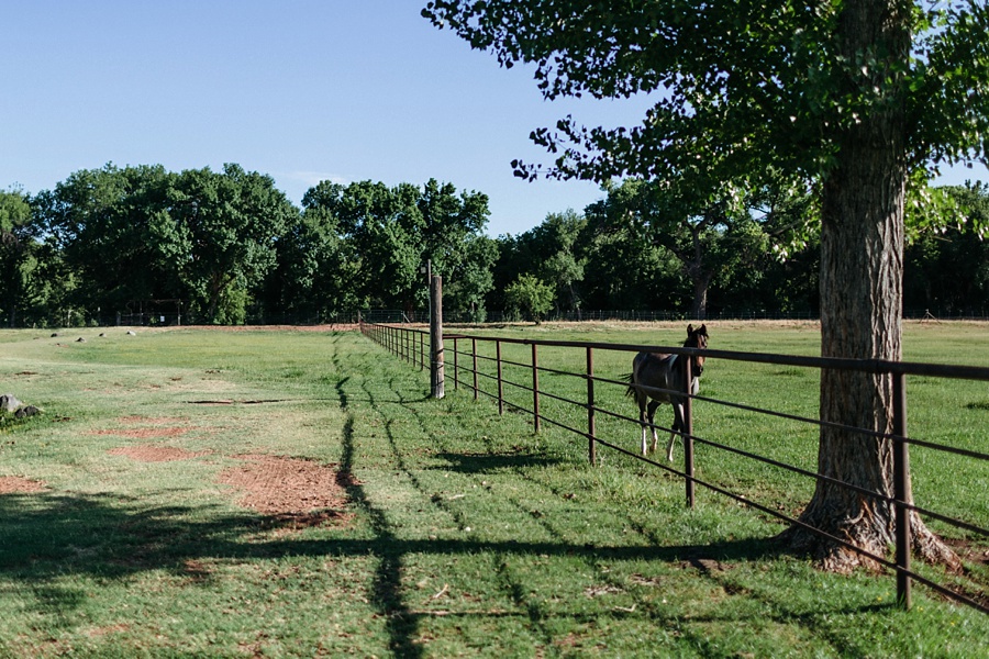 Phoenix Wedding Photographers; Phoenix Wedding; Aaron Hoskins Photography; The Hoskins Photography; The Hoskins; Arizona Wedding Photographers; Sedona Wedding Photographers; Flagstaff Wedding Photographers; Tucson Wedding Photographers; Outdoor Weddings; Phoenix Wedding Photography; Phoenix Wedding Photographer; Flagstaff Wedding; Flagstaff Wedding Photos