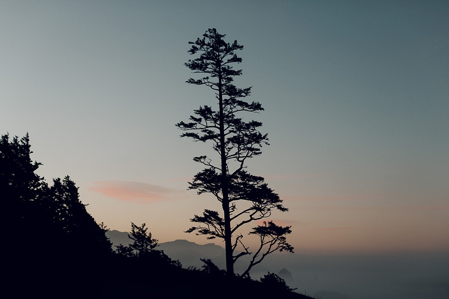 The Hoskins; The Hoskins Photography; Aaron Hoskins Photography; Outdoor Photography: Oregon Photographer; Lost/Discovered; Oregon Landscape; Oregon Coast; Oregon Forest; Travel Photography