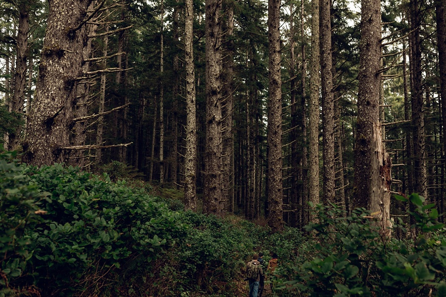 The Hoskins; The Hoskins Photography; Aaron Hoskins Photography; Outdoor Photography: Oregon Photographer; Lost/Discovered; Oregon Landscape; Oregon Coast; Oregon Forest; Travel Photography