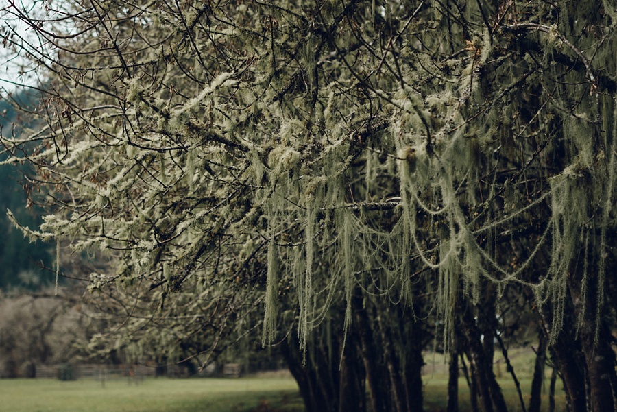 The Hoskins; The Hoskins Photography; Aaron Hoskins Photography; Outdoor Photography: Oregon Photographer; Lost/Discovered; Oregon Landscape; Oregon Coast; Oregon Forest; Travel Photography