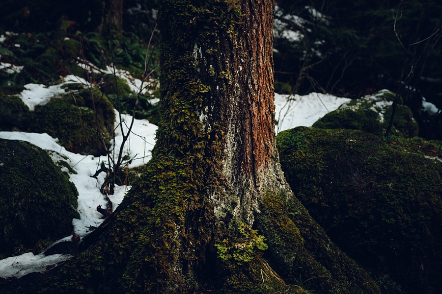 The Hoskins; The Hoskins Photography; Aaron Hoskins Photography; Outdoor Photography: Oregon Photographer; Lost/Discovered; Oregon Landscape; Oregon Coast; Oregon Forest; Travel Photography