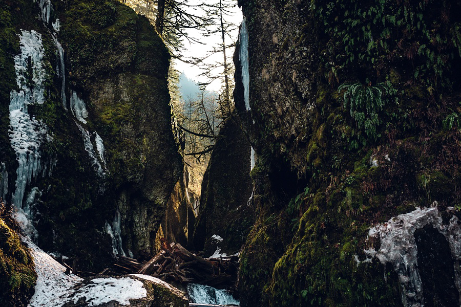 The Hoskins; The Hoskins Photography; Aaron Hoskins Photography; Outdoor Photography: Oregon Photographer; Lost/Discovered; Oregon Landscape; Oregon Coast; Oregon Forest; Travel Photography