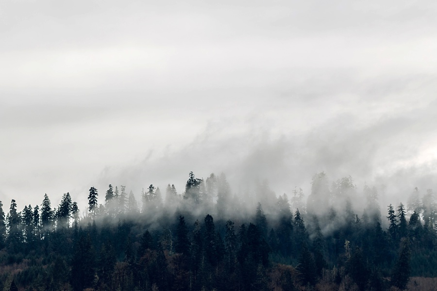 The Hoskins; The Hoskins Photography; Aaron Hoskins Photography; Outdoor Photography: Oregon Photographer; Lost/Discovered; Oregon Landscape; Oregon Coast; Oregon Forest; Travel Photography