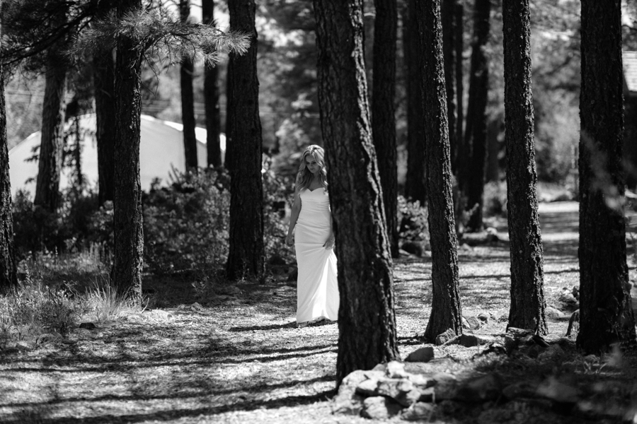 Phoenix Wedding Photographers; Phoenix Wedding; Aaron Hoskins Photography; The Hoskins Photography; The Hoskins; Arizona Wedding Photographers; Sedona Wedding Photographers; Flagstaff Wedding Photographers; Tucson Wedding Photographers; Outdoor Weddings; Phoenix Wedding Photography; Phoenix Wedding Photographer; Flagstaff Wedding; Desert Engagement; Engagement Photograhers; Scottsdale Engagement; the Arboretum at Flagstaff; Arboretum at Flagstaff Wedding: Flagstaff Arboretum Wedding