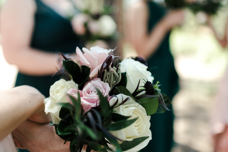 Phoenix Wedding Photographers; Phoenix Wedding; Aaron Hoskins Photography; The Hoskins Photography; The Hoskins; Arizona Wedding Photographers; Sedona Wedding Photographers; Flagstaff Wedding Photographers; Tucson Wedding Photographers; Outdoor Weddings; Phoenix Wedding Photography; Phoenix Wedding Photographer; Flagstaff Wedding; Desert Engagement; Engagement Photograhers; Scottsdale Engagement; the Arboretum at Flagstaff; Arboretum at Flagstaff Wedding: Flagstaff Arboretum Wedding