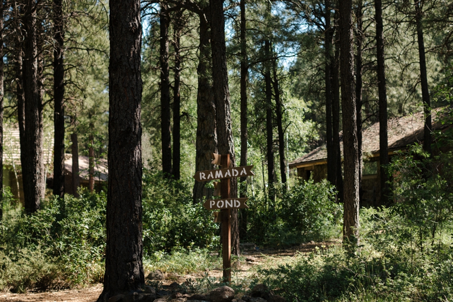 Phoenix Wedding Photographers; Phoenix Wedding; Aaron Hoskins Photography; The Hoskins Photography; The Hoskins; Arizona Wedding Photographers; Sedona Wedding Photographers; Flagstaff Wedding Photographers; Tucson Wedding Photographers; Outdoor Weddings; Phoenix Wedding Photography; Phoenix Wedding Photographer; Flagstaff Wedding; Desert Engagement; Engagement Photograhers; Scottsdale Engagement; the Arboretum at Flagstaff; Arboretum at Flagstaff Wedding: Flagstaff Arboretum Wedding