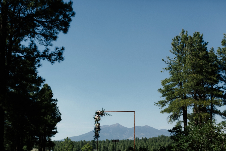 Phoenix Wedding Photographers; Phoenix Wedding; Aaron Hoskins Photography; The Hoskins Photography; The Hoskins; Arizona Wedding Photographers; Sedona Wedding Photographers; Flagstaff Wedding Photographers; Tucson Wedding Photographers; Outdoor Weddings; Phoenix Wedding Photography; Phoenix Wedding Photographer; Flagstaff Wedding; Desert Engagement; Engagement Photograhers; Scottsdale Engagement; the Arboretum at Flagstaff; Arboretum at Flagstaff Wedding: Flagstaff Arboretum Wedding