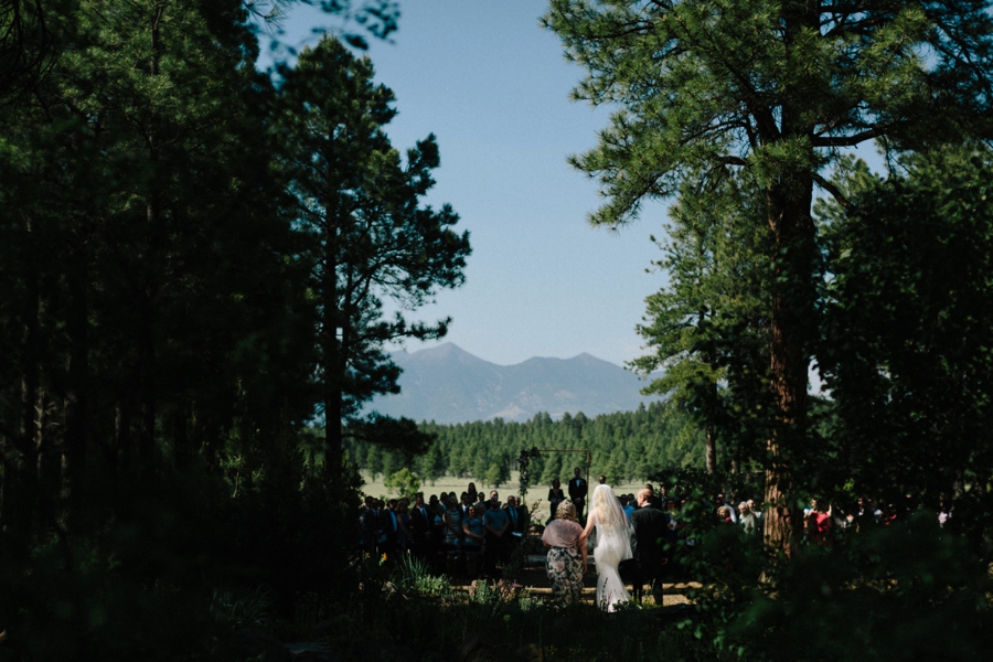 Phoenix Wedding Photographers; Phoenix Wedding; Aaron Hoskins Photography; The Hoskins Photography; The Hoskins; Arizona Wedding Photographers; Sedona Wedding Photographers; Flagstaff Wedding Photographers; Tucson Wedding Photographers; Outdoor Weddings; Phoenix Wedding Photography; Phoenix Wedding Photographer; Flagstaff Wedding; Desert Engagement; Engagement Photograhers; Scottsdale Engagement; the Arboretum at Flagstaff; Arboretum at Flagstaff Wedding: Flagstaff Arboretum Wedding