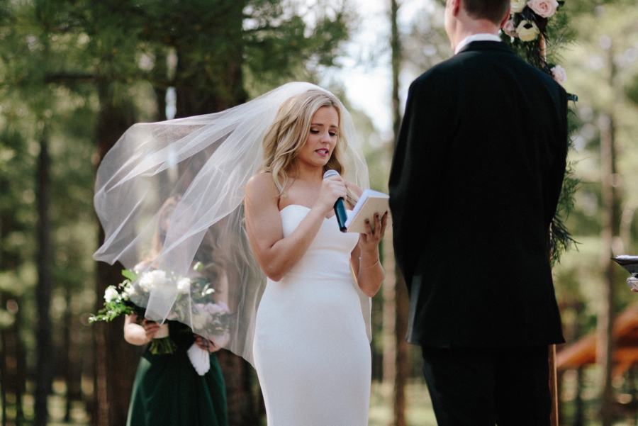 Phoenix Wedding Photographers; Phoenix Wedding; Aaron Hoskins Photography; The Hoskins Photography; The Hoskins; Arizona Wedding Photographers; Sedona Wedding Photographers; Flagstaff Wedding Photographers; Tucson Wedding Photographers; Outdoor Weddings; Phoenix Wedding Photography; Phoenix Wedding Photographer; Flagstaff Wedding; Desert Engagement; Engagement Photograhers; Scottsdale Engagement; the Arboretum at Flagstaff; Arboretum at Flagstaff Wedding: Flagstaff Arboretum Wedding