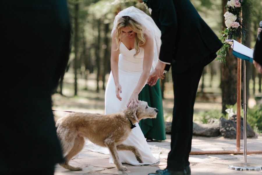 Phoenix Wedding Photographers; Phoenix Wedding; Aaron Hoskins Photography; The Hoskins Photography; The Hoskins; Arizona Wedding Photographers; Sedona Wedding Photographers; Flagstaff Wedding Photographers; Tucson Wedding Photographers; Outdoor Weddings; Phoenix Wedding Photography; Phoenix Wedding Photographer; Flagstaff Wedding; Desert Engagement; Engagement Photograhers; Scottsdale Engagement; the Arboretum at Flagstaff; Arboretum at Flagstaff Wedding: Flagstaff Arboretum Wedding