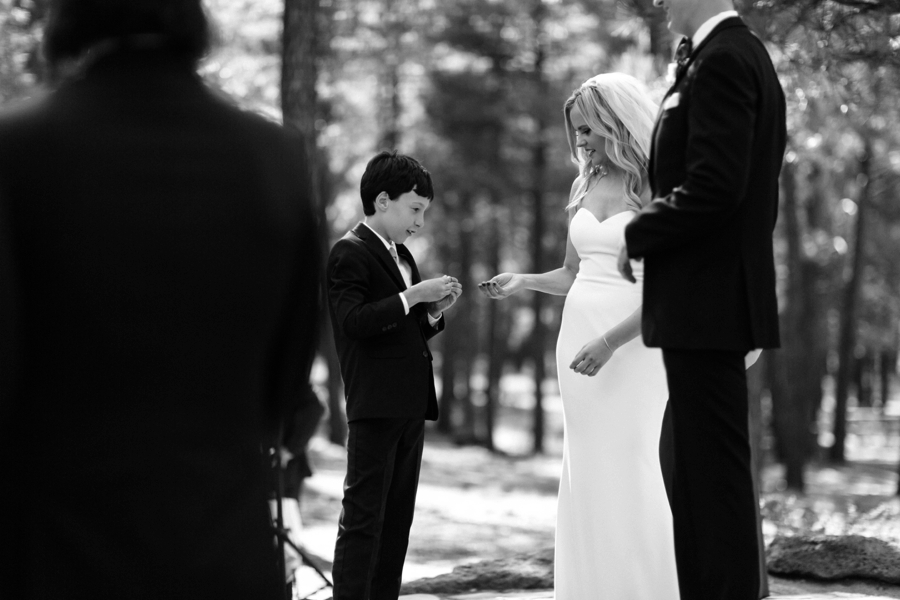 Phoenix Wedding Photographers; Phoenix Wedding; Aaron Hoskins Photography; The Hoskins Photography; The Hoskins; Arizona Wedding Photographers; Sedona Wedding Photographers; Flagstaff Wedding Photographers; Tucson Wedding Photographers; Outdoor Weddings; Phoenix Wedding Photography; Phoenix Wedding Photographer; Flagstaff Wedding; Desert Engagement; Engagement Photograhers; Scottsdale Engagement; the Arboretum at Flagstaff; Arboretum at Flagstaff Wedding: Flagstaff Arboretum Wedding