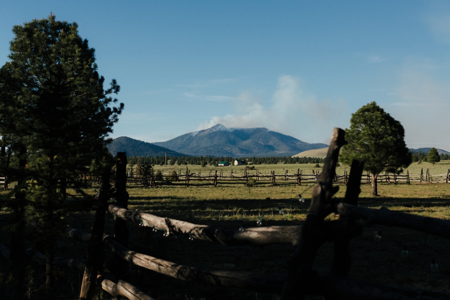 Phoenix Wedding Photographers; Phoenix Wedding; Aaron Hoskins Photography; The Hoskins Photography; The Hoskins; Arizona Wedding Photographers; Sedona Wedding Photographers; Flagstaff Wedding Photographers; Tucson Wedding Photographers; Outdoor Weddings; Phoenix Wedding Photography; Phoenix Wedding Photographer; Flagstaff Wedding; Desert Engagement; Engagement Photograhers; Scottsdale Engagement; the Arboretum at Flagstaff; Arboretum at Flagstaff Wedding: Flagstaff Arboretum Wedding