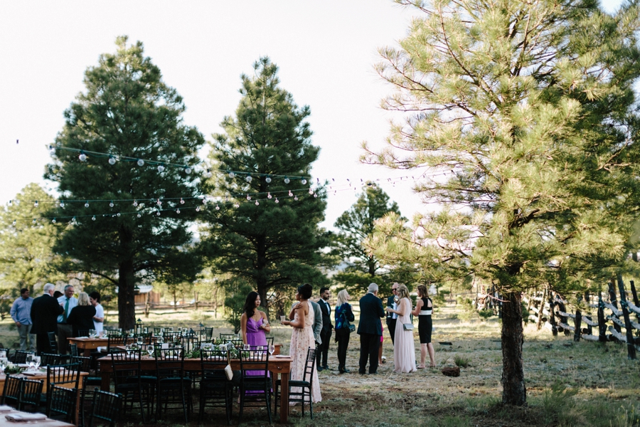 Phoenix Wedding Photographers; Phoenix Wedding; Aaron Hoskins Photography; The Hoskins Photography; The Hoskins; Arizona Wedding Photographers; Sedona Wedding Photographers; Flagstaff Wedding Photographers; Tucson Wedding Photographers; Outdoor Weddings; Phoenix Wedding Photography; Phoenix Wedding Photographer; Flagstaff Wedding; Desert Engagement; Engagement Photograhers; Scottsdale Engagement; the Arboretum at Flagstaff; Arboretum at Flagstaff Wedding: Flagstaff Arboretum Wedding