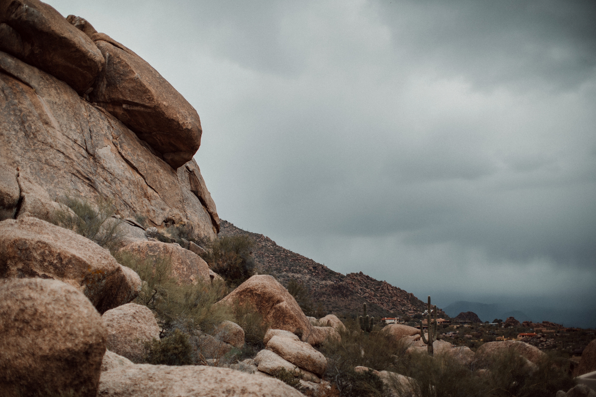 Phoenix Wedding Photographer; Phoenix Wedding; Phoenix Wedding Photographers; Husband and Wife Photographers; Phoenix Outdoor Wedding; Phoenix Backyard Wedding; The Hoskins; Scottsdale Wedding Photographers; Phoenix Family Photographer; The Boulders Wedding; The Boulders Wedding Photographer; Scottsdale Wedding; Scottsdale Wedding Photographer; The Boulders Wedding Photography