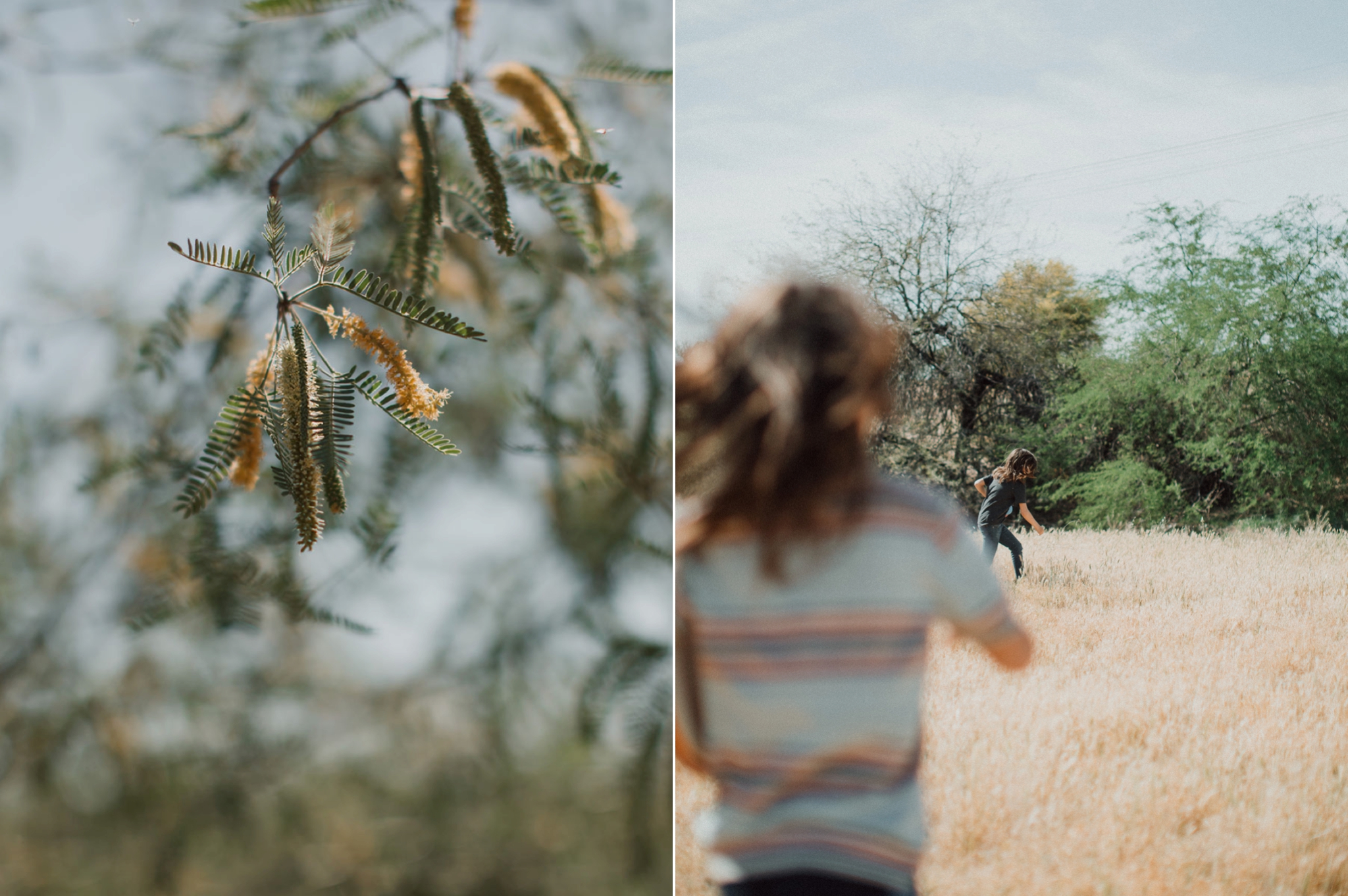 Phoenix Family Photographer, Phoenix Wedding Photographer, Phoenix Disc Golf, Phoenix Wedding Photographers