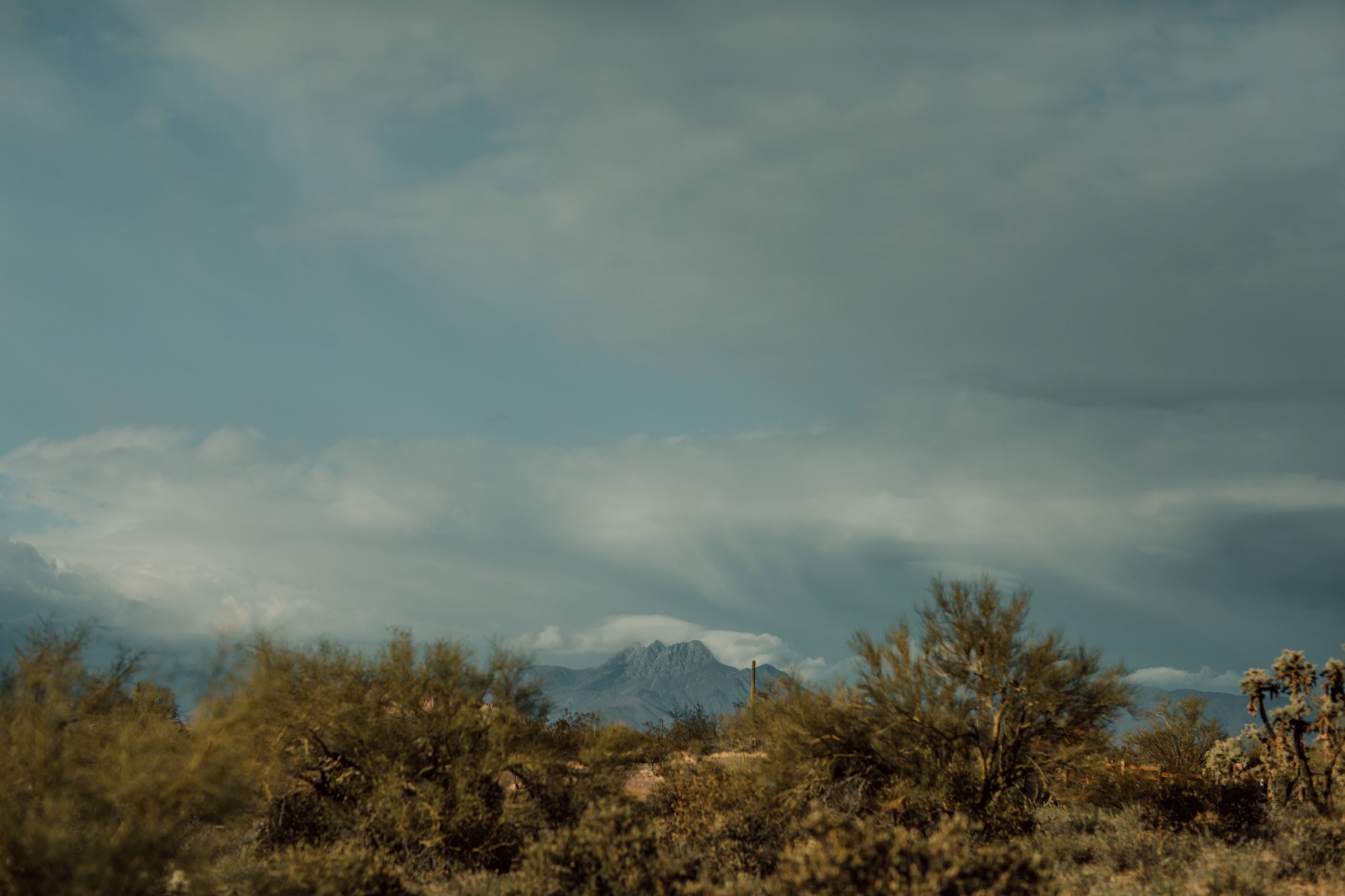 Phoenix Family Photographer, Phoenix Wedding Photographer, Phoenix Disc Golf, Phoenix Wedding Photographers, Superstition Mountains 