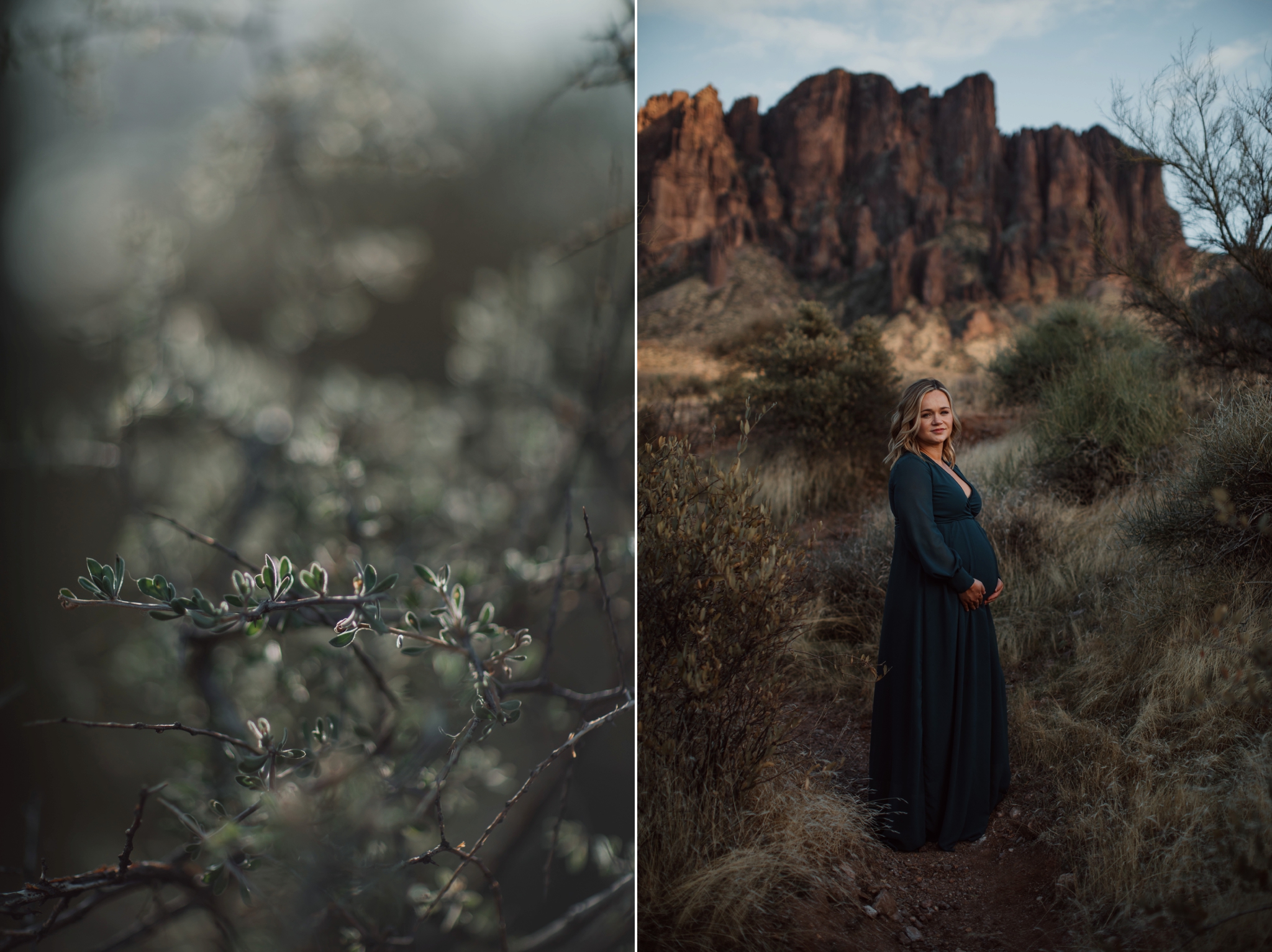 Phoenix Family Photographer, Phoenix Wedding Photographer, Phoenix Disc Golf, Phoenix Wedding Photographers