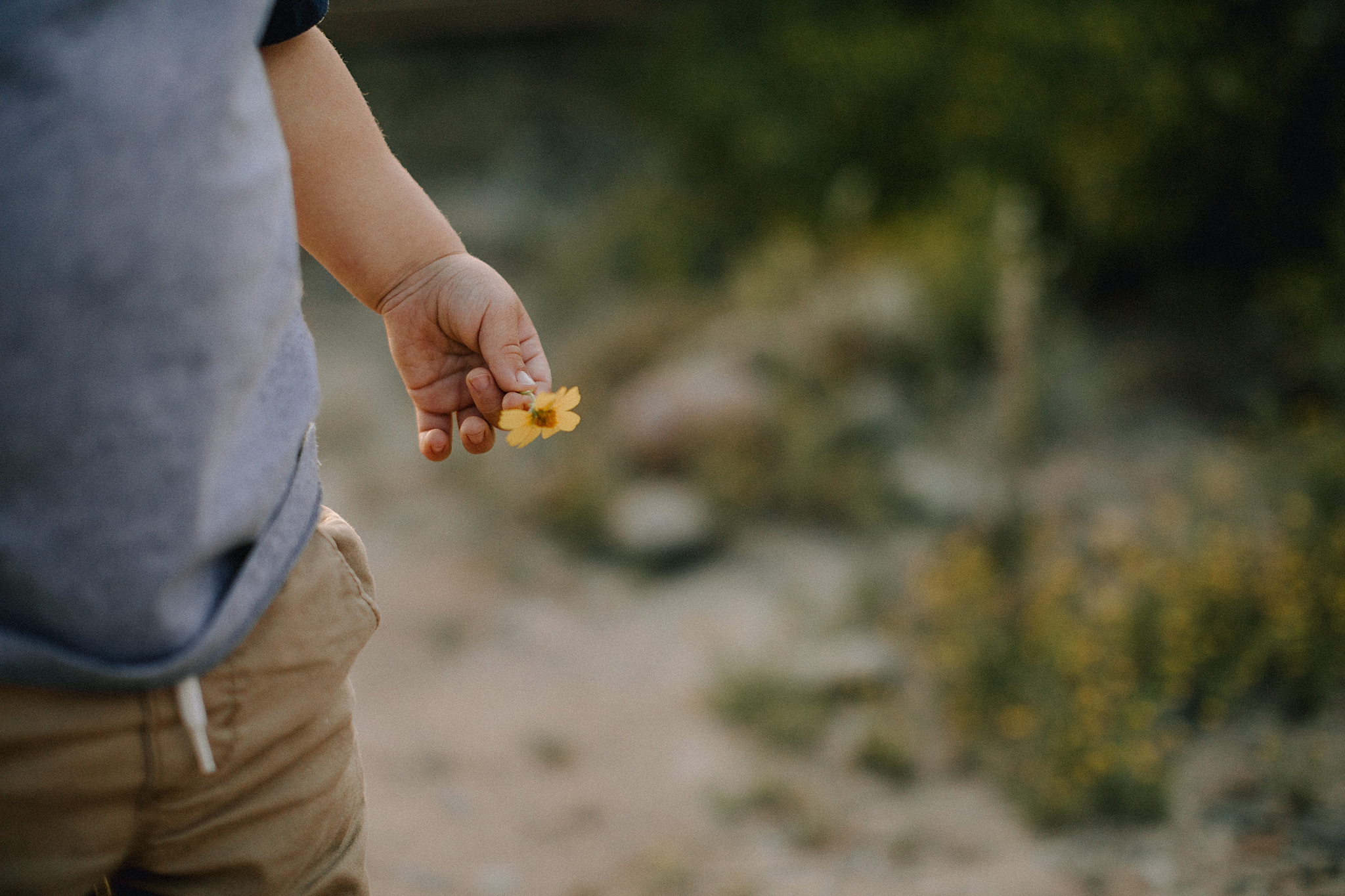 Phoenix Family Photographer, Phoenix Wedding Photographer, Phoenix Disc Golf, Phoenix Wedding Photographers