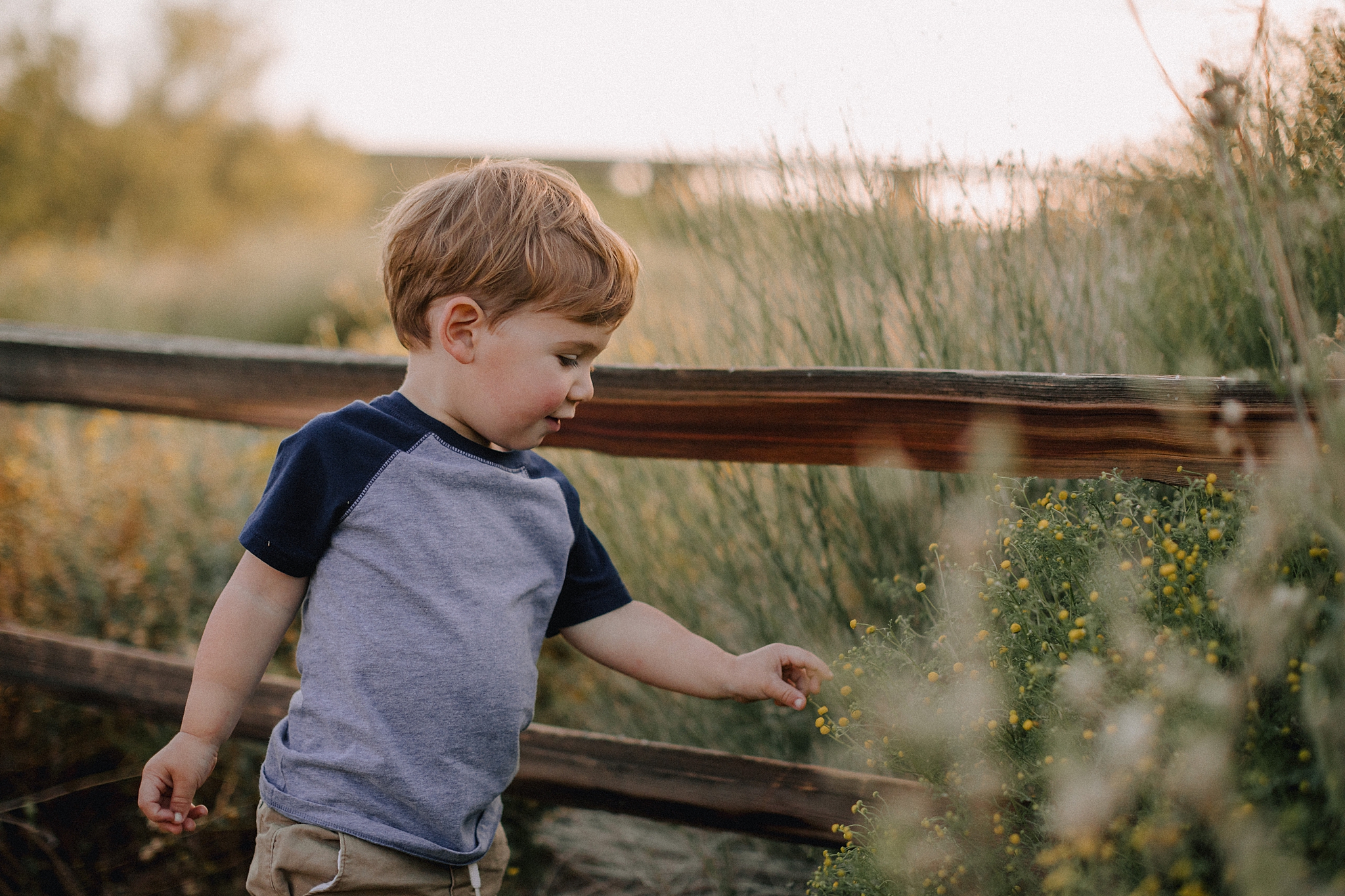 Phoenix Family Photographer, Phoenix Wedding Photographer, Phoenix Disc Golf, Phoenix Wedding Photographers