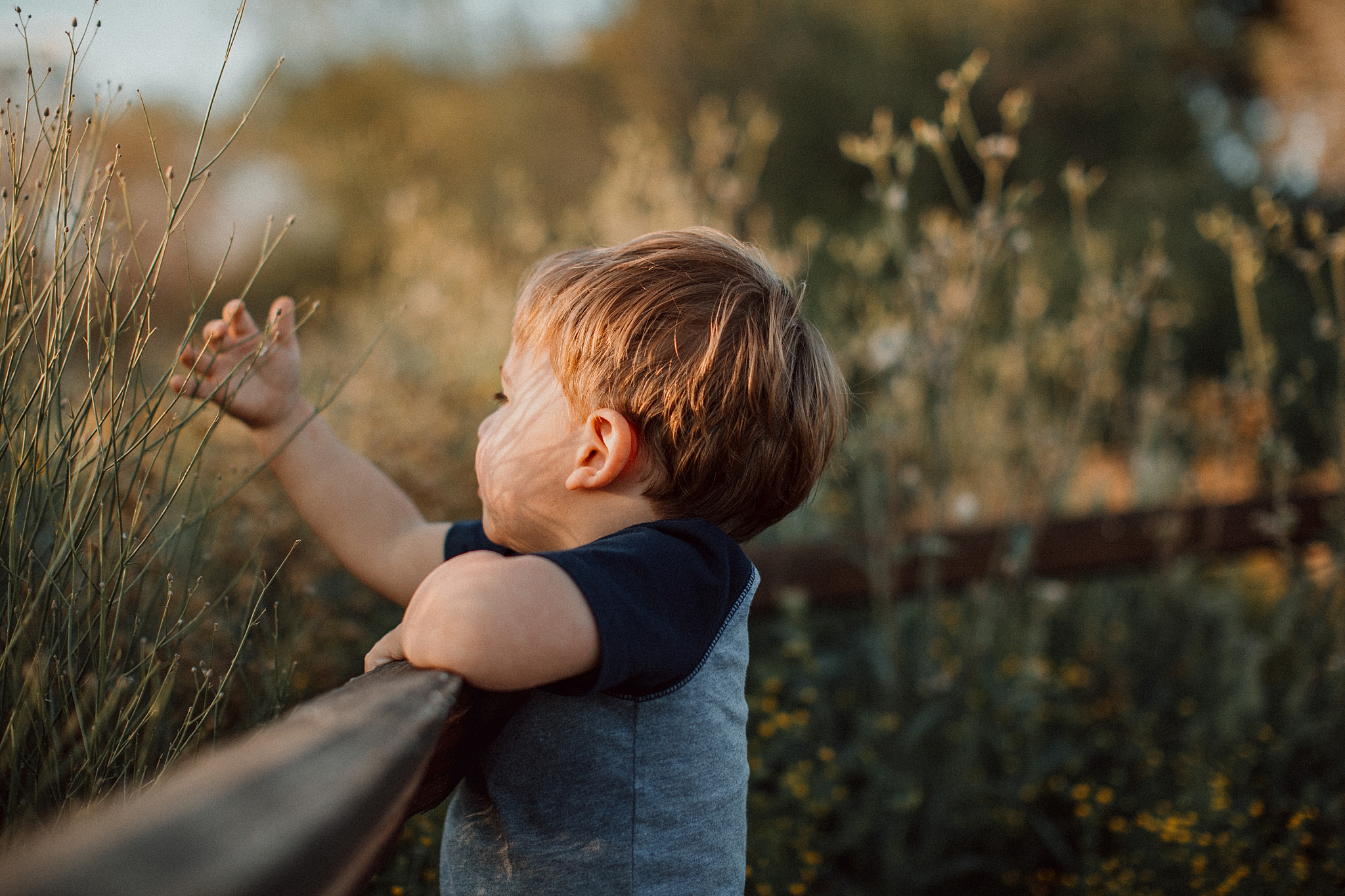 Phoenix Family Photographer, Phoenix Wedding Photographer, Phoenix Disc Golf, Phoenix Wedding Photographers