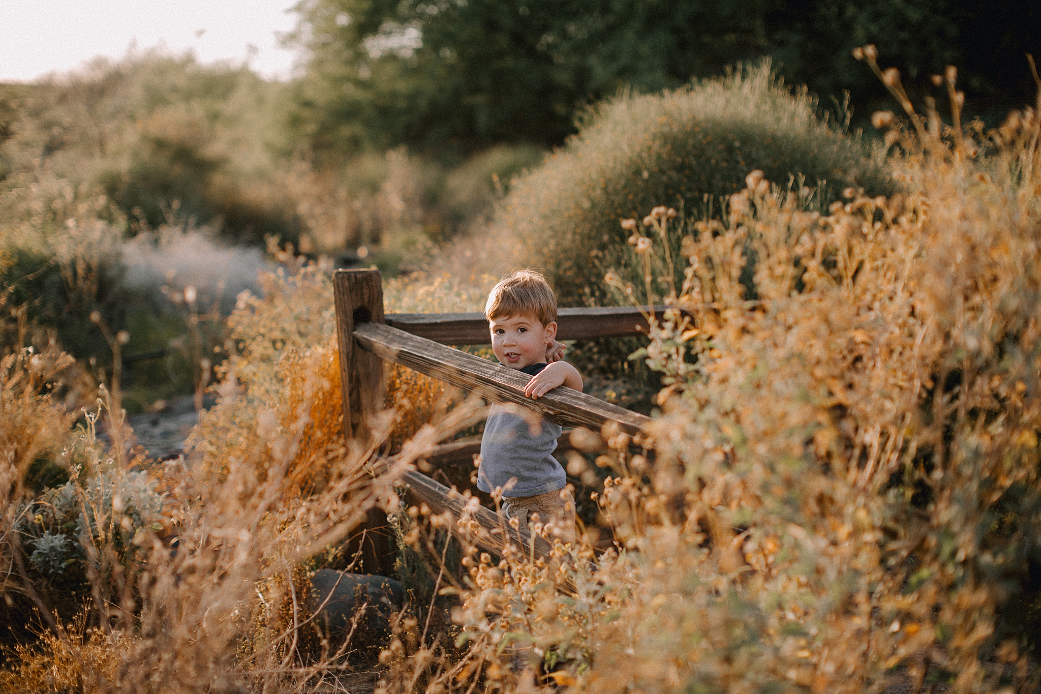 Phoenix Family Photographer, Phoenix Wedding Photographer, Phoenix Disc Golf, Phoenix Wedding Photographers