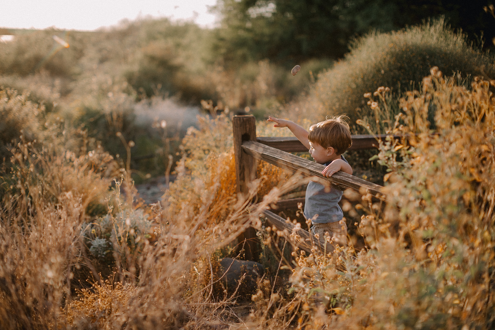 Phoenix Family Photographer, Phoenix Wedding Photographer, Phoenix Disc Golf, Phoenix Wedding Photographers
