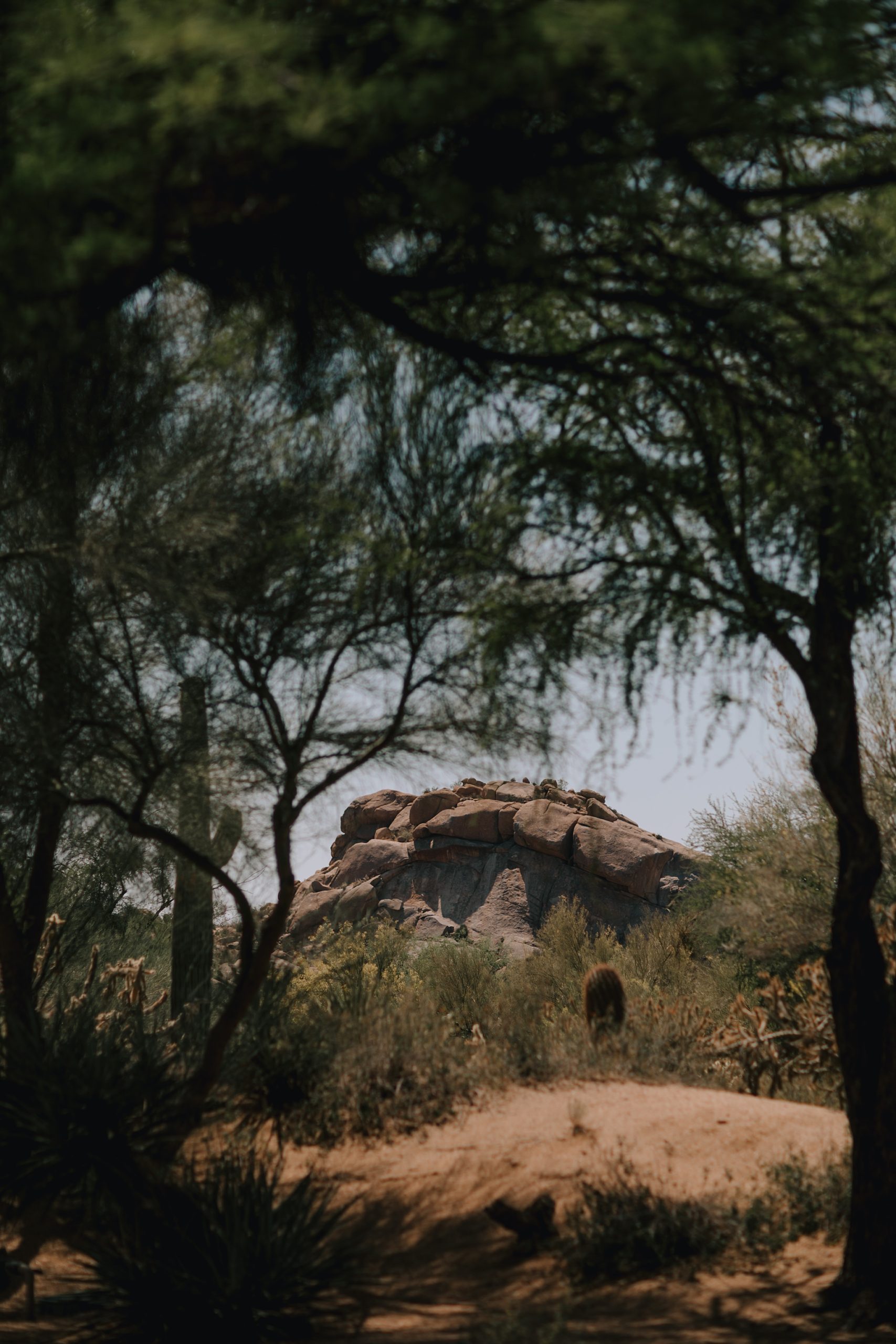 Phoenix Wedding Photographer, Scottsdale Wedding Photographer, The Boulders Wedding, The Boulders Wedding Photographer, Arizona Wedding Photographer, Outdoor Wedding Photographer, The Hoskins Photography
