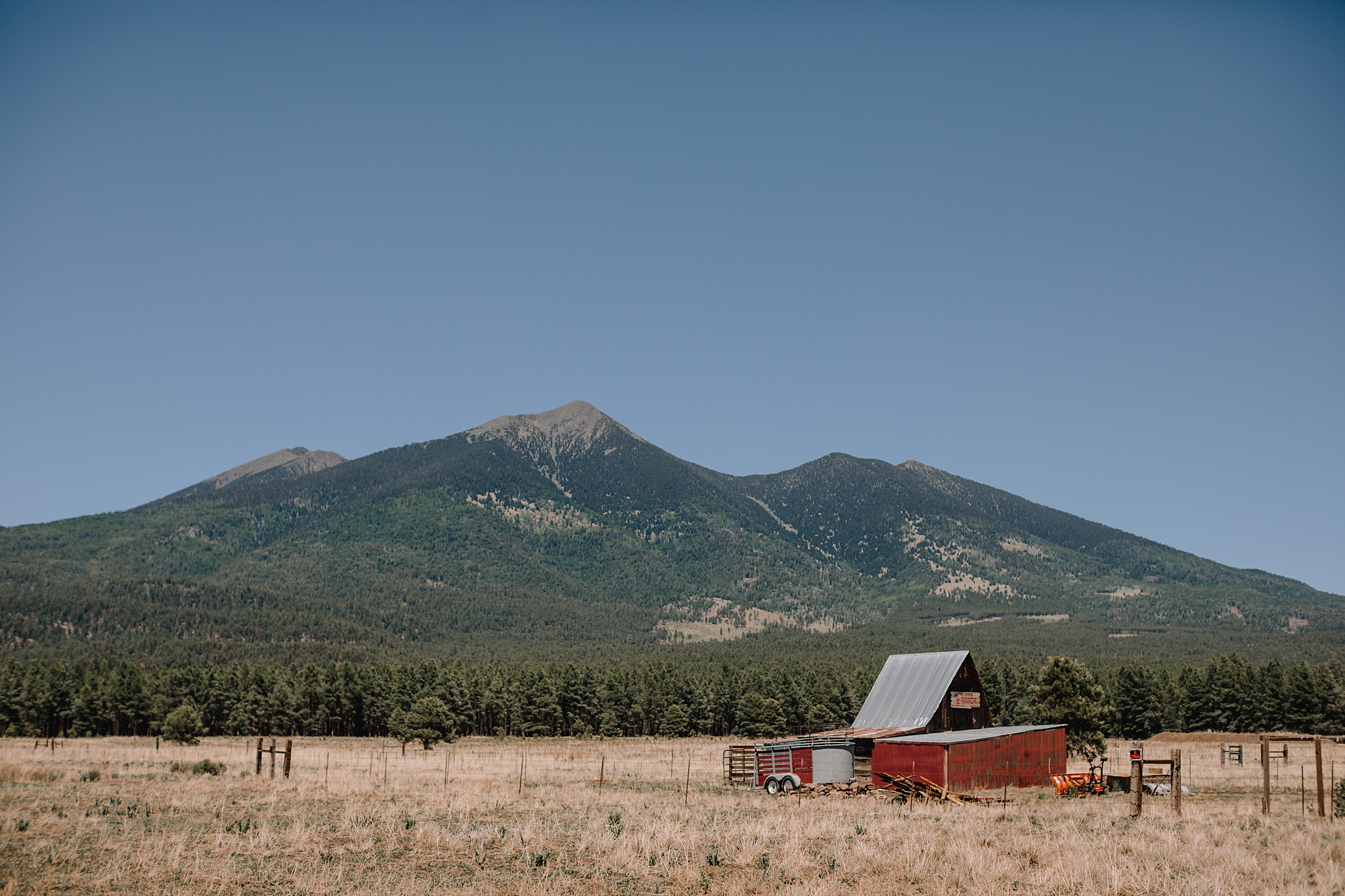 Phoenix Wedding Photographer, Scottsdale Wedding Photographer, Flagstaff Wedding, Flagstaff Wedding Photographer, Arizona Wedding Photographer, Outdoor Wedding Photographer, The Hoskins Photography, Snowbowl Wedding, Snowbowl Wedding Photographer