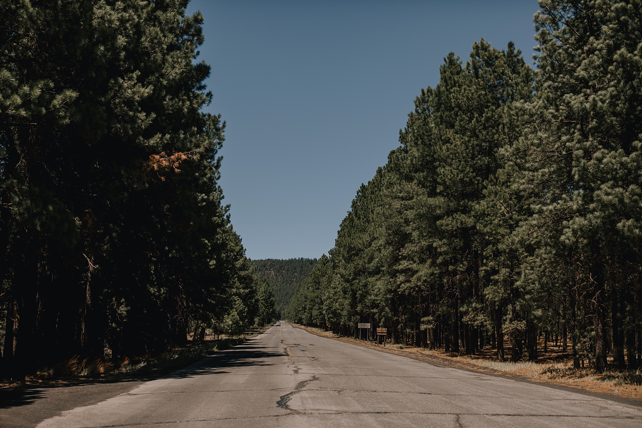 Phoenix Wedding Photographer, Scottsdale Wedding Photographer, Flagstaff Wedding, Flagstaff Wedding Photographer, Arizona Wedding Photographer, Outdoor Wedding Photographer, The Hoskins Photography, Snowbowl Wedding, Snowbowl Wedding Photographer