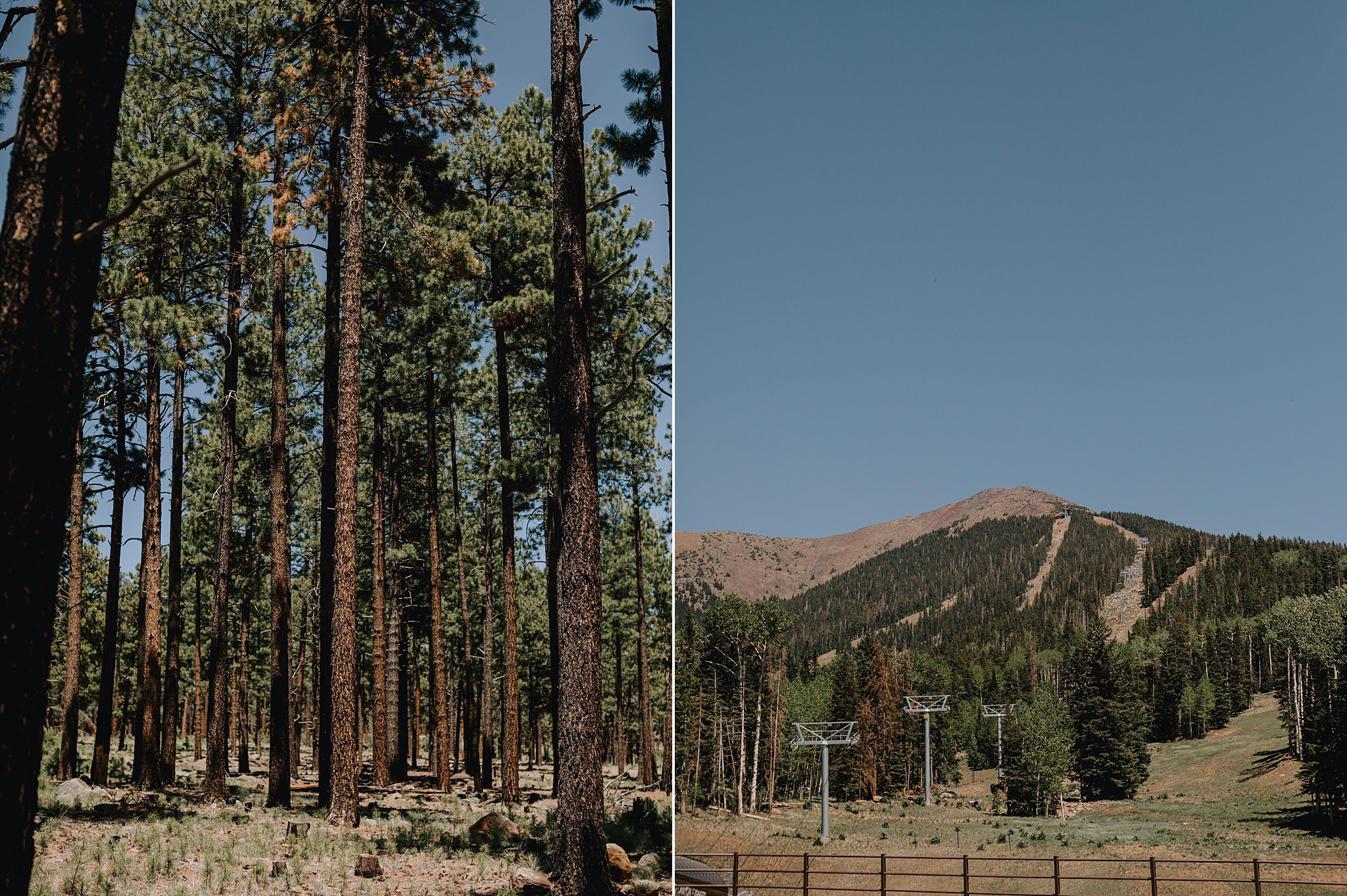 Phoenix Wedding Photographer, Scottsdale Wedding Photographer, Flagstaff Wedding, Flagstaff Wedding Photographer, Arizona Wedding Photographer, Outdoor Wedding Photographer, The Hoskins Photography, Snowbowl Wedding, Snowbowl Wedding Photographer