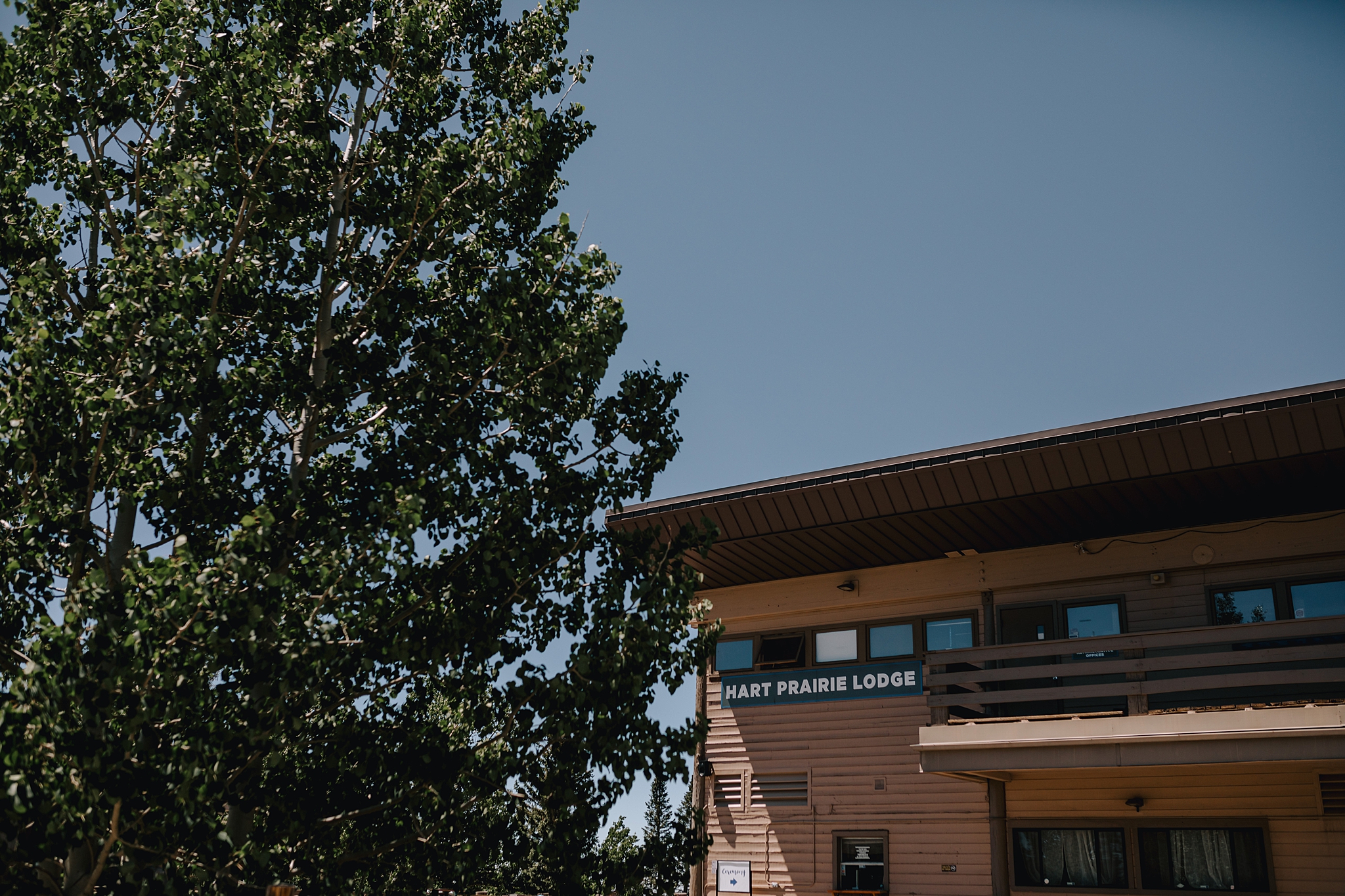 Phoenix Wedding Photographer, Scottsdale Wedding Photographer, Flagstaff Wedding, Flagstaff Wedding Photographer, Arizona Wedding Photographer, Outdoor Wedding Photographer, The Hoskins Photography, Snowbowl Wedding, Snowbowl Wedding Photographer