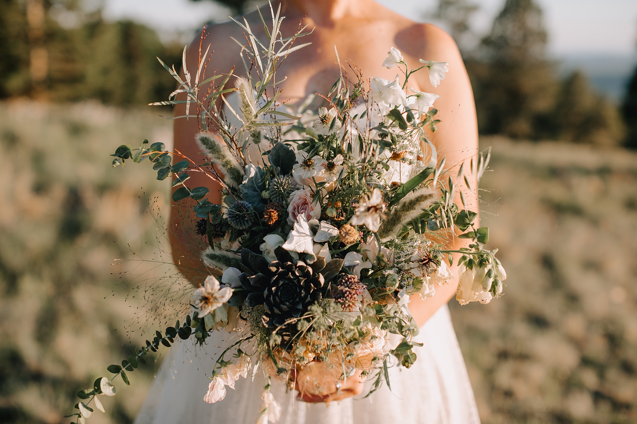 Phoenix Wedding Photographer, Scottsdale Wedding Photographer, Flagstaff Wedding, Flagstaff Wedding Photographer, Arizona Wedding Photographer, Outdoor Wedding Photographer, The Hoskins Photography, Snowbowl Wedding, Snowbowl Wedding Photographer