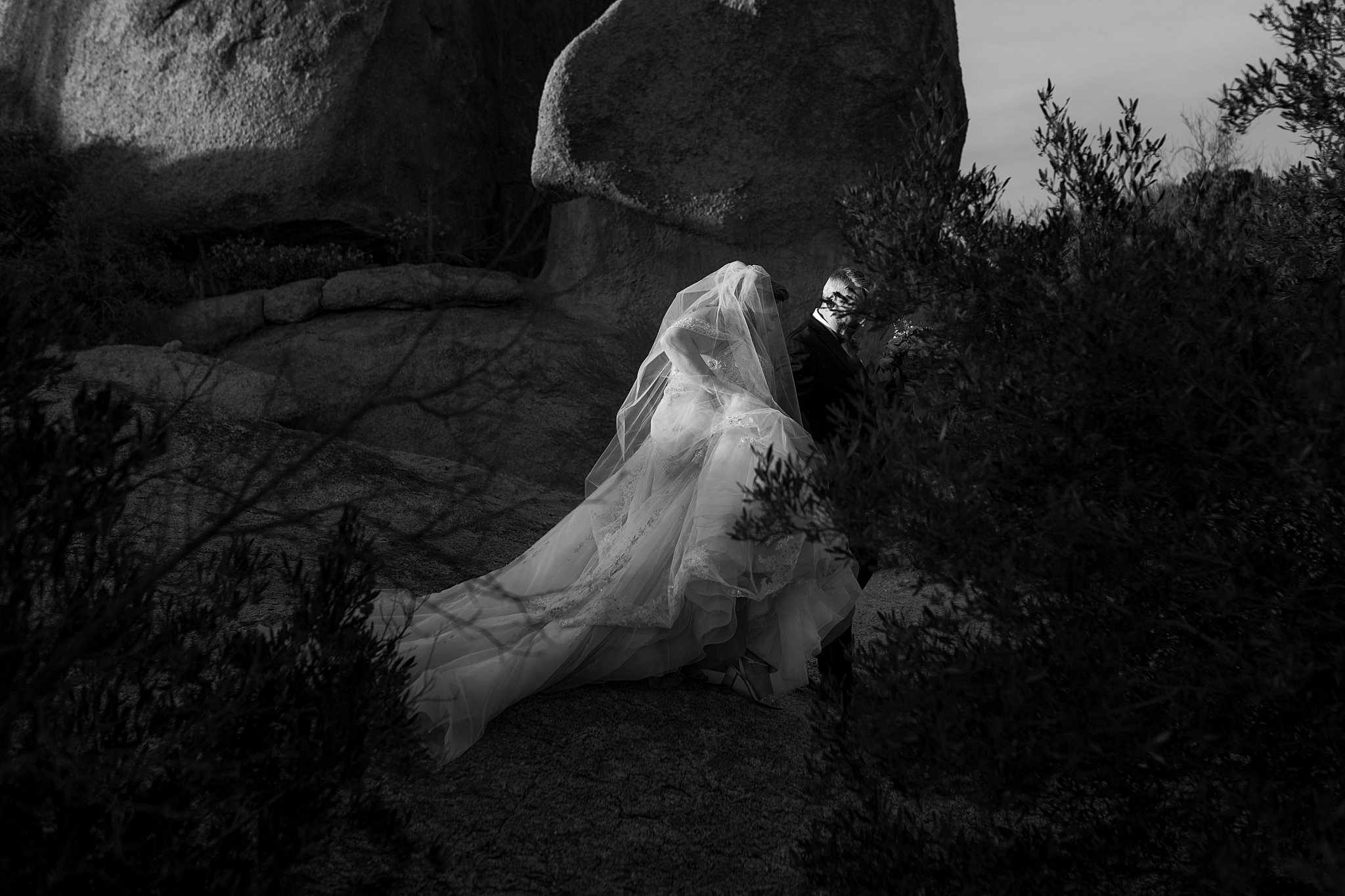 Phoenix Wedding Photographer; Phoenix Wedding; Phoenix Wedding Photographers; Husband and Wife Photographers; Phoenix Outdoor Wedding; Phoenix Backyard Wedding; The Hoskins; Scottsdale Wedding Photographers; Phoenix Family Photographer; The Boulders Wedding; The Boulders Wedding Photographer; Scottsdale Wedding; Scottsdale Wedding Photographer; The Boulders Wedding Photography