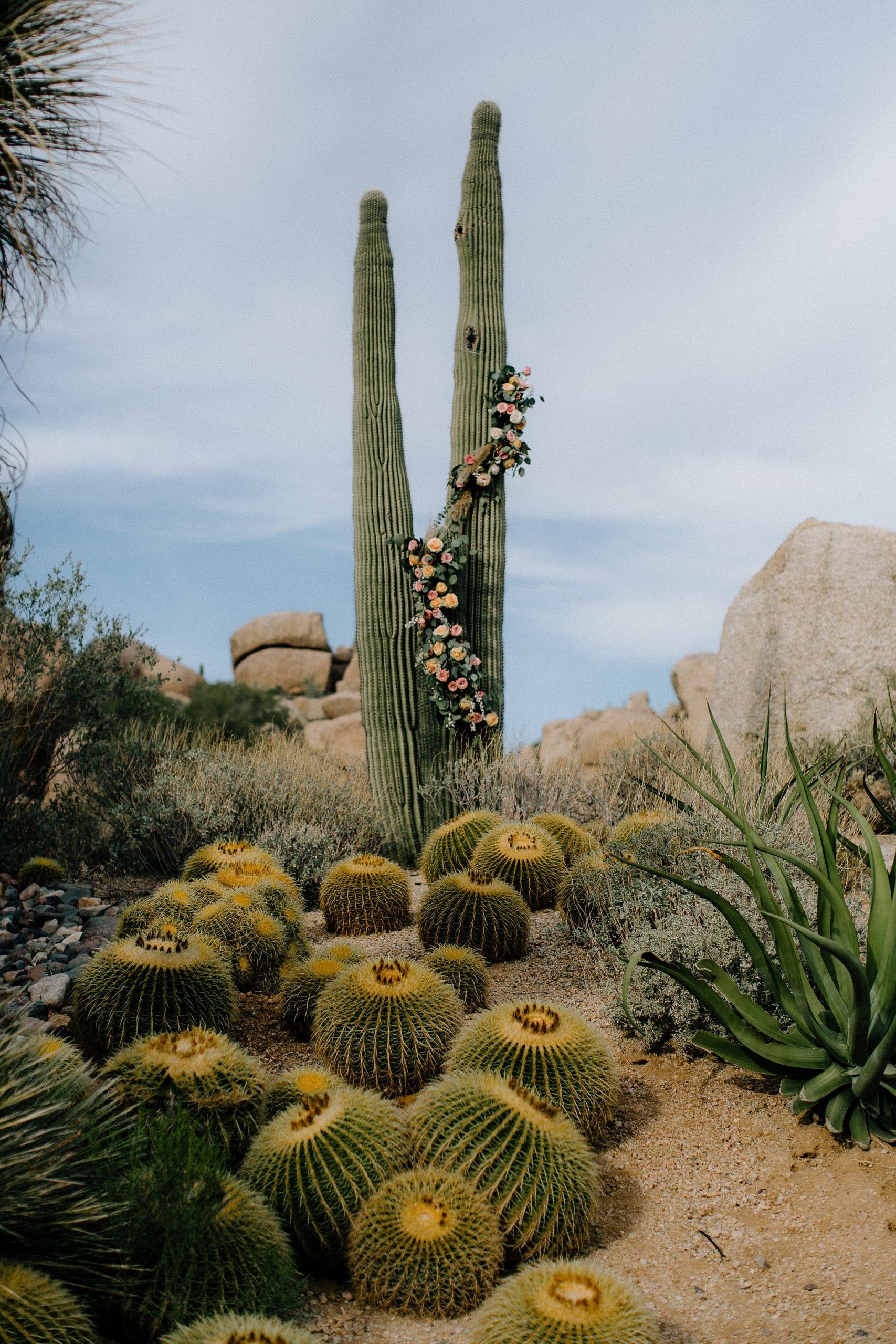 Scottsdale Wedding Photographer, Phoenix Wedding Photographer, Aaron Hoskins Photography, The Boulders Resort Wedding, Bride, Groom, Ceremony