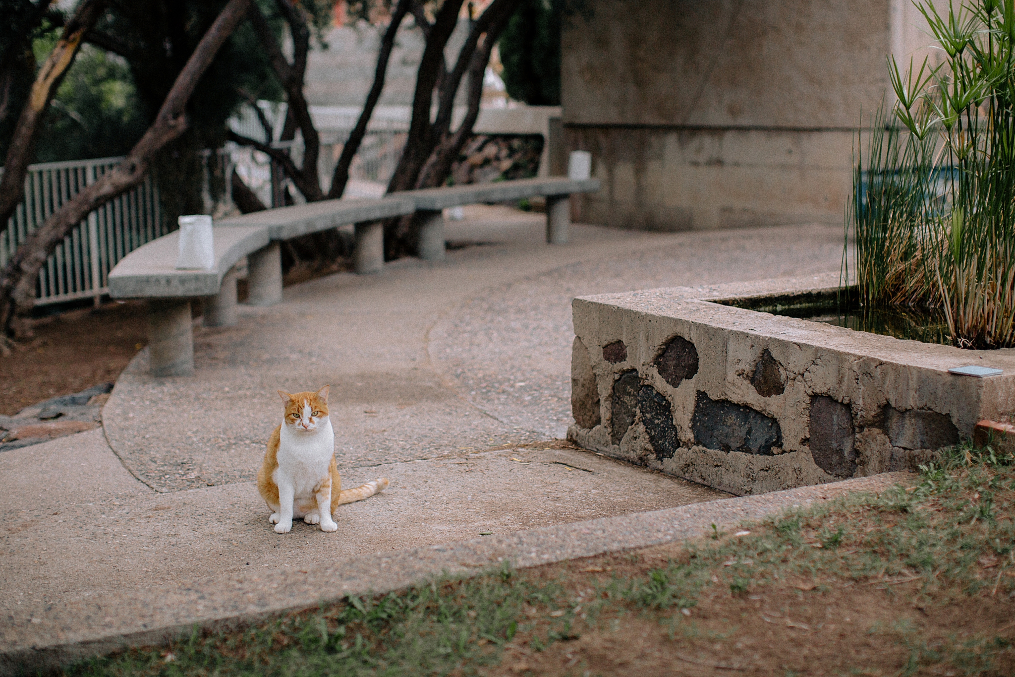 Phoenix Wedding Photographers; Phoenix Wedding; Aaron Hoskins Photography; The Hoskins Photography; The Hoskins; Arizona Wedding Photographers; Photographer Phoenix; Arcosanti; Arcosanti Wedding; Arcosanti Bride; Wedding Photographer Phoenix