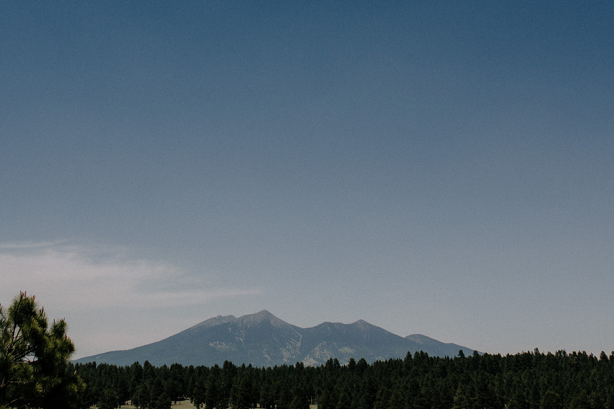 Phoenix Wedding Photography; Phoenix Wedding Photographer; Phoenix Wedding Photographers; Phoenix Wedding; Aaron Hoskins Photography; The Hoskins Photography; The Hoskins; Arizona Wedding Photographers; Photographer Phoenix; Wedding Photographers Phoenix; Wedding Photographer Phoenix AZ; Wedding Photographer in Arizona; Flagstaff Wedding; Flagstaff Wedding Photographer; The Arboretum at Flagstaff Wedding; Wedding in the Woods, Mountain