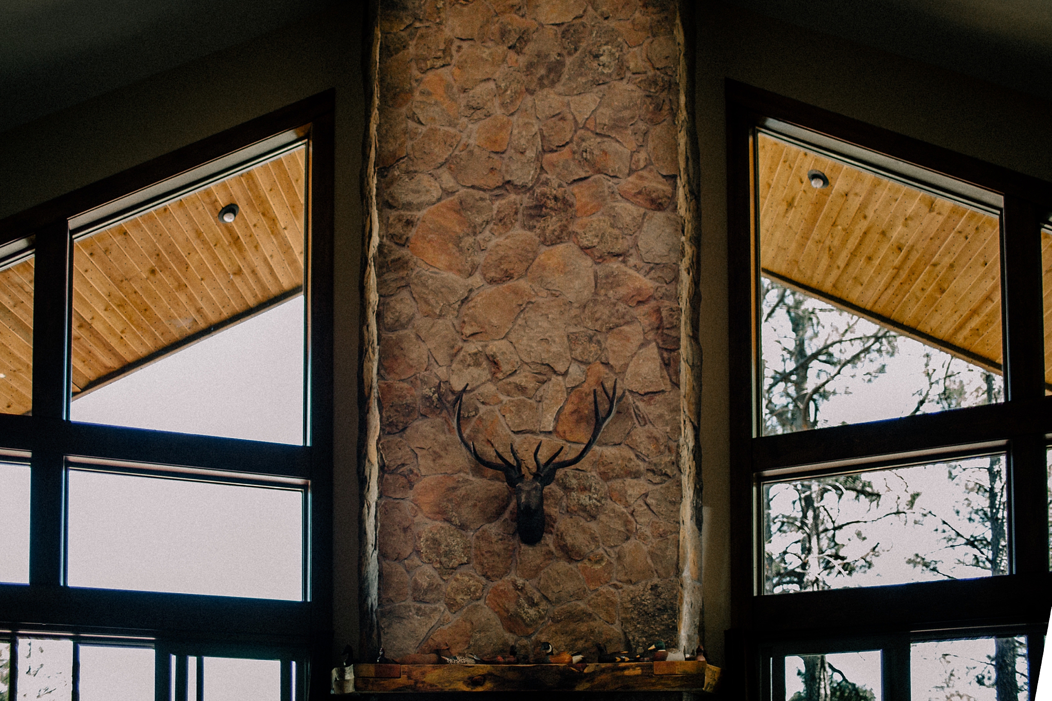 Phoenix Wedding Photography; Phoenix Wedding Photographer; Phoenix Wedding Photographers; Phoenix Wedding; Aaron Hoskins Photography; The Hoskins Photography; The Hoskins; Arizona Wedding Photographers; Photographer Phoenix; Wedding Photographers Phoenix; Wedding Photographer Phoenix AZ; Wedding Photographer in Arizona; Flagstaff Wedding; Flagstaff Wedding Photographer; The Arboretum at Flagstaff Wedding; Wedding in the Woods