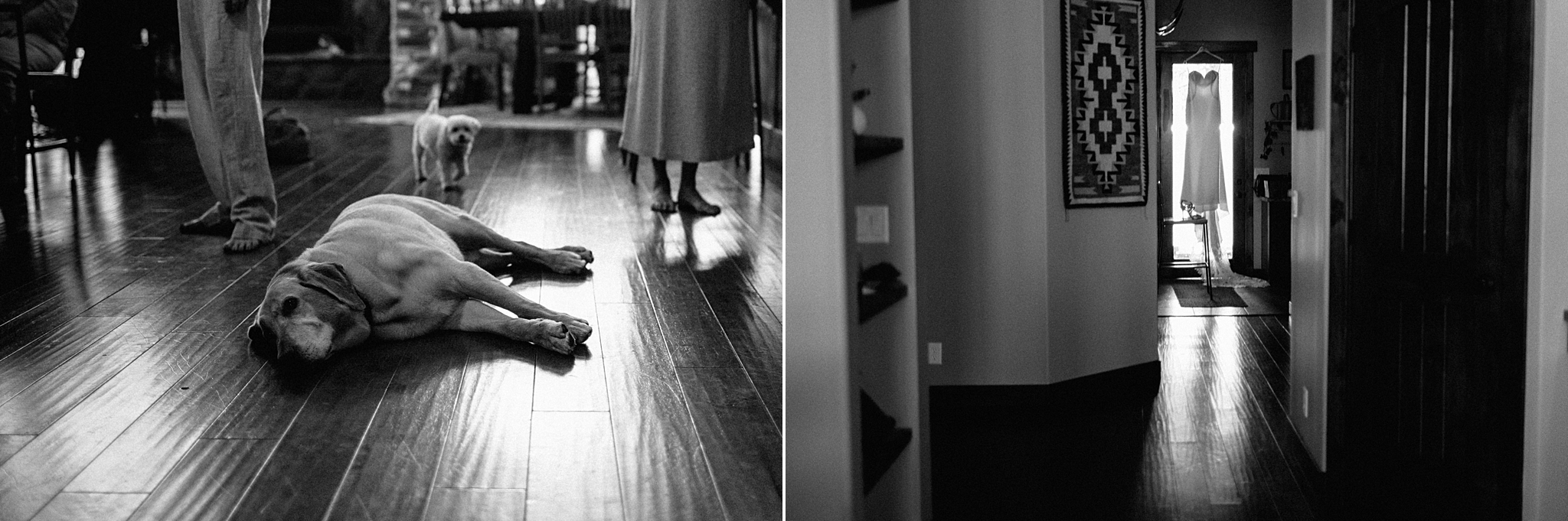 Phoenix Wedding Photography; Phoenix Wedding Photographer; Phoenix Wedding Photographers; Phoenix Wedding; Aaron Hoskins Photography; The Hoskins Photography; The Hoskins; Arizona Wedding Photographers; Photographer Phoenix; Wedding Photographers Phoenix; Wedding Photographer Phoenix AZ; Wedding Photographer in Arizona; Flagstaff Wedding; Flagstaff Wedding Photographer; The Arboretum at Flagstaff Wedding; Wedding in the Woods; Wedding Dress