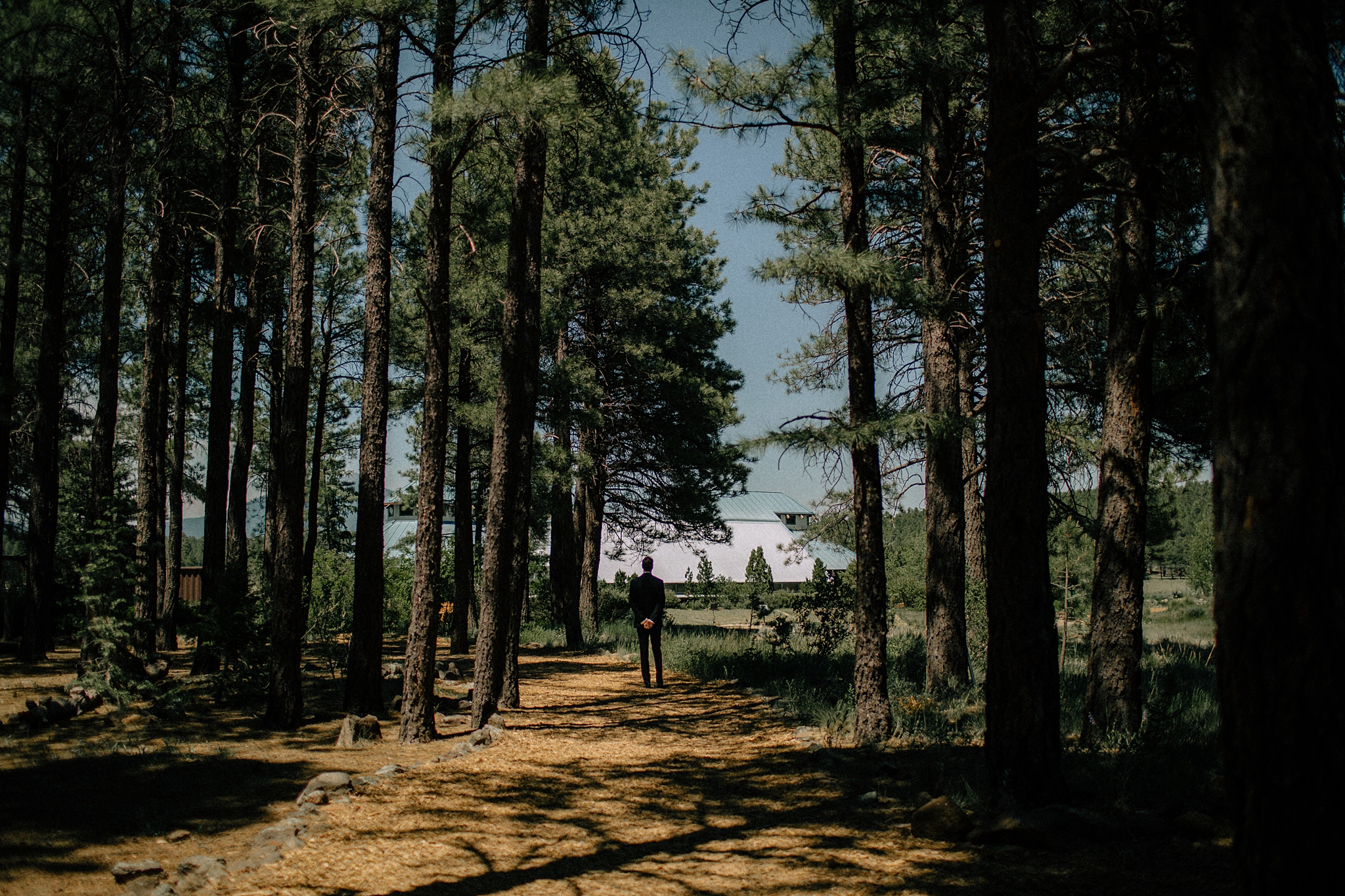 Phoenix Wedding Photography; Phoenix Wedding Photographer; Phoenix Wedding Photographers; Phoenix Wedding; Aaron Hoskins Photography; The Hoskins Photography; The Hoskins; Arizona Wedding Photographers; Photographer Phoenix; Wedding Photographers Phoenix; Wedding Photographer Phoenix AZ; Wedding Photographer in Arizona; Flagstaff Wedding; Flagstaff Wedding Photographer; The Arboretum at Flagstaff Wedding; Wedding in the Woods; First Look