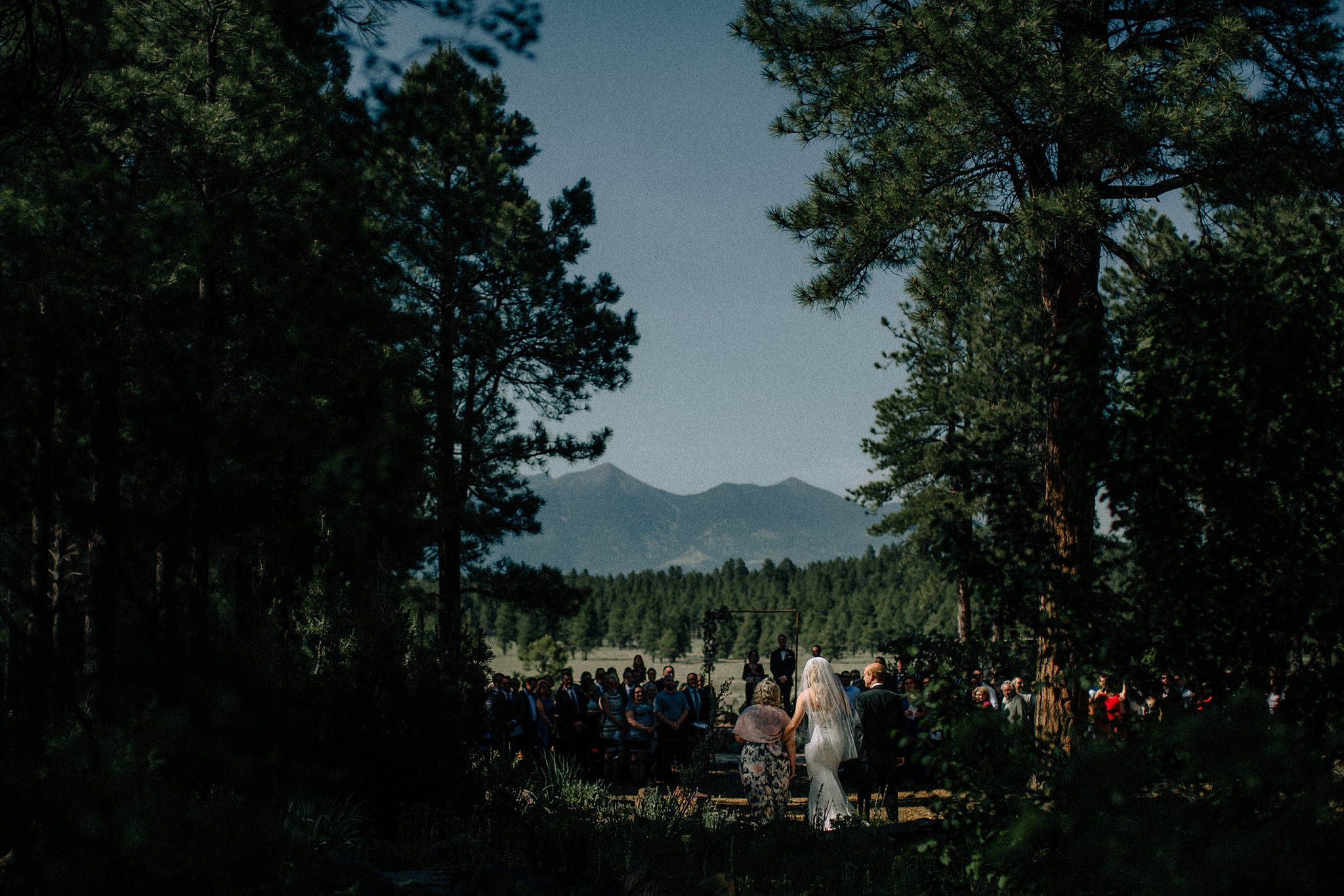Phoenix Wedding Photography; Phoenix Wedding Photographer; Phoenix Wedding Photographers; Phoenix Wedding; Aaron Hoskins Photography; The Hoskins Photography; The Hoskins; Arizona Wedding Photographers; Photographer Phoenix; Wedding Photographers Phoenix; Wedding Photographer Phoenix AZ; Wedding Photographer in Arizona; Flagstaff Wedding; Flagstaff Wedding Photographer; The Arboretum at Flagstaff Wedding; Wedding in the Woods; Wedding Ceremony; Outdoor Wedding Ceremony