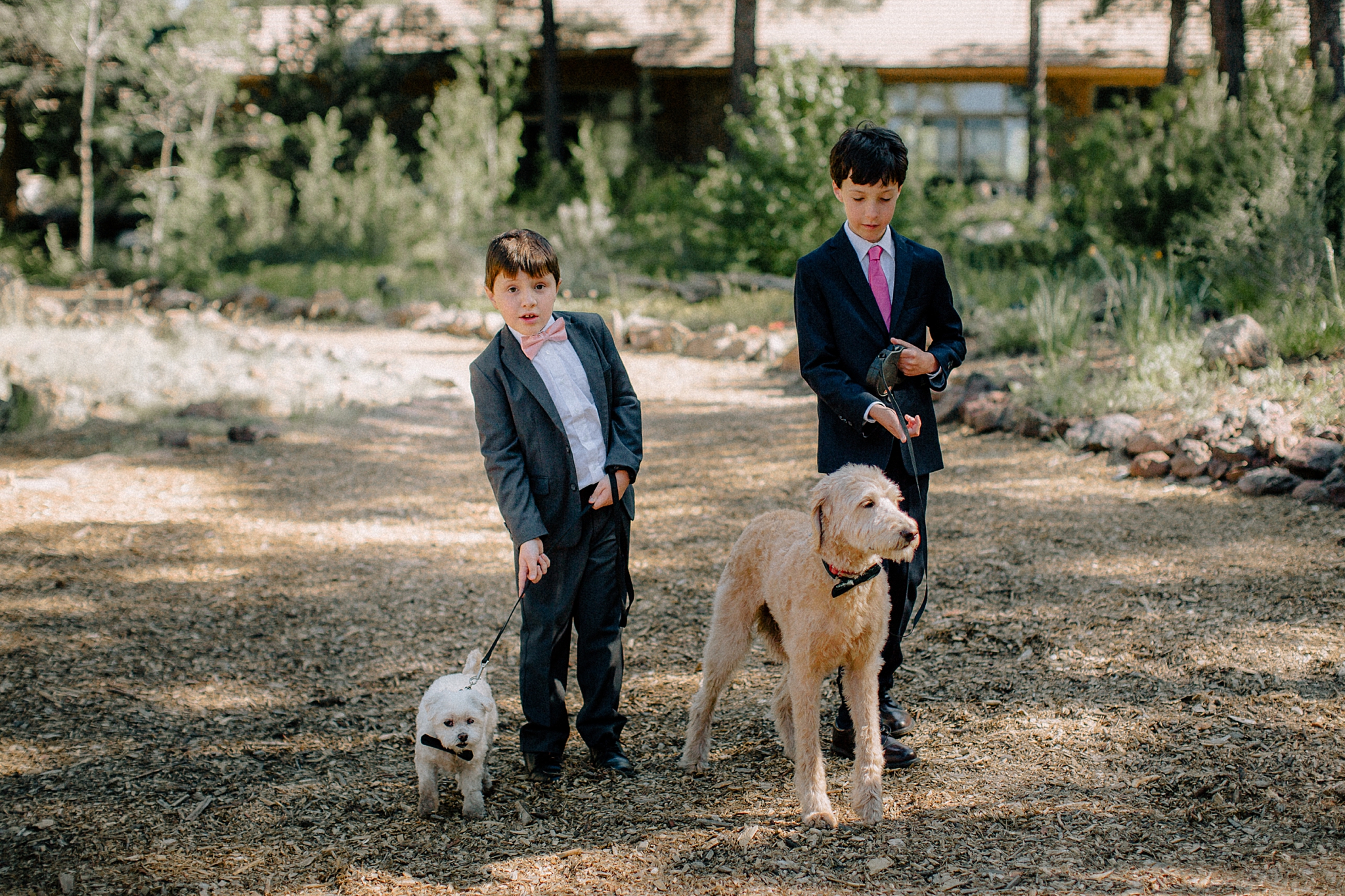 Phoenix Wedding Photography; Phoenix Wedding Photographer; Phoenix Wedding Photographers; Phoenix Wedding; Aaron Hoskins Photography; The Hoskins Photography; The Hoskins; Arizona Wedding Photographers; Photographer Phoenix; Wedding Photographers Phoenix; Wedding Photographer Phoenix AZ; Wedding Photographer in Arizona; Flagstaff Wedding; Flagstaff Wedding Photographer; The Arboretum at Flagstaff Wedding; Wedding in the Woods; Wedding Ceremony; Outdoor Wedding Ceremony