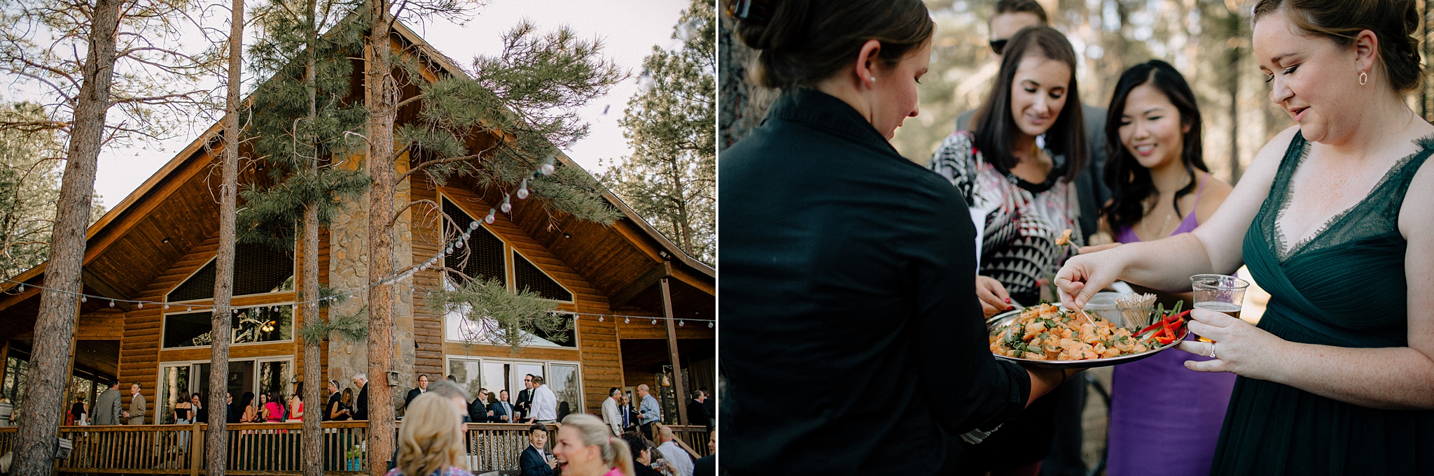 Phoenix Wedding Photography; Phoenix Wedding Photographer; Phoenix Wedding Photographers; Phoenix Wedding; Aaron Hoskins Photography; The Hoskins Photography; The Hoskins; Arizona Wedding Photographers; Photographer Phoenix; Wedding Photographers Phoenix; Wedding Photographer Phoenix AZ; Wedding Photographer in Arizona; Flagstaff Wedding; Flagstaff Wedding Photographer; The Arboretum at Flagstaff Wedding; Wedding in the Woods; Wedding Reception; Outdoor Wedding Reception