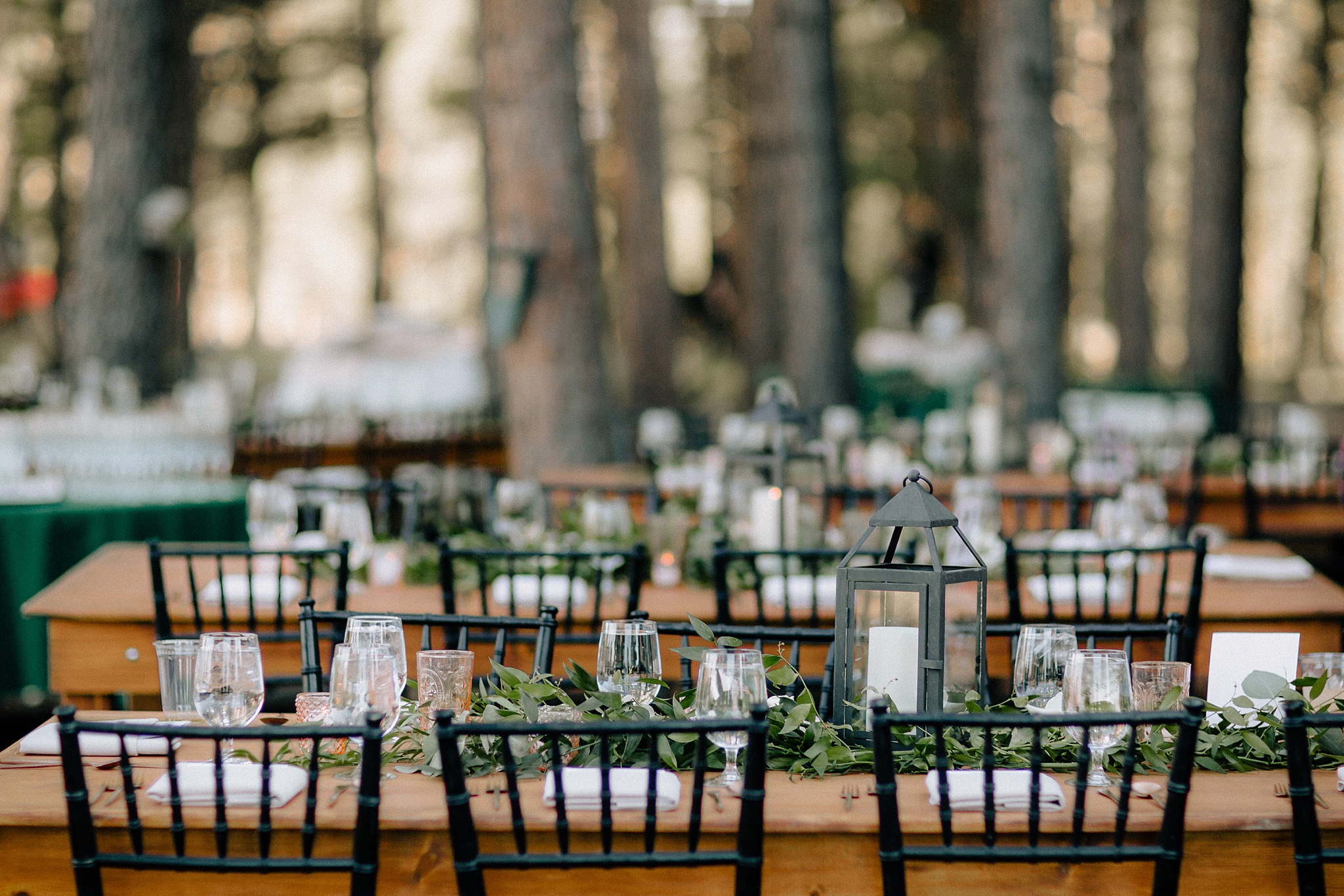 Phoenix Wedding Photography; Phoenix Wedding Photographer; Phoenix Wedding Photographers; Phoenix Wedding; Aaron Hoskins Photography; The Hoskins Photography; The Hoskins; Arizona Wedding Photographers; Photographer Phoenix; Wedding Photographers Phoenix; Wedding Photographer Phoenix AZ; Wedding Photographer in Arizona; Flagstaff Wedding; Flagstaff Wedding Photographer; The Arboretum at Flagstaff Wedding; Wedding in the Woods; Wedding Reception; Outdoor Wedding Reception