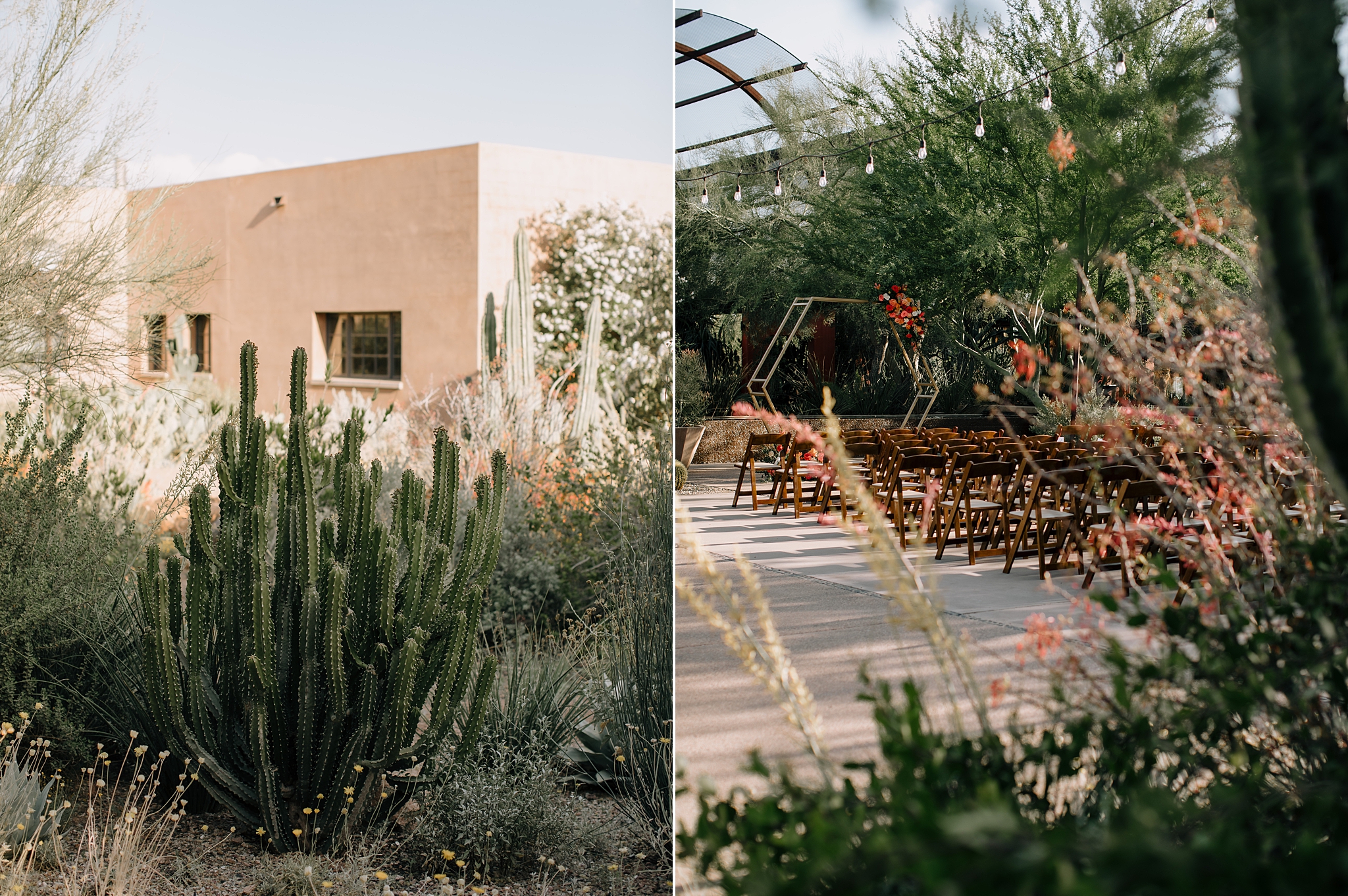 Wedding at the Desert Botanical Gardens in Phoenix, Arizona, Wedding by The Hoskins Photography